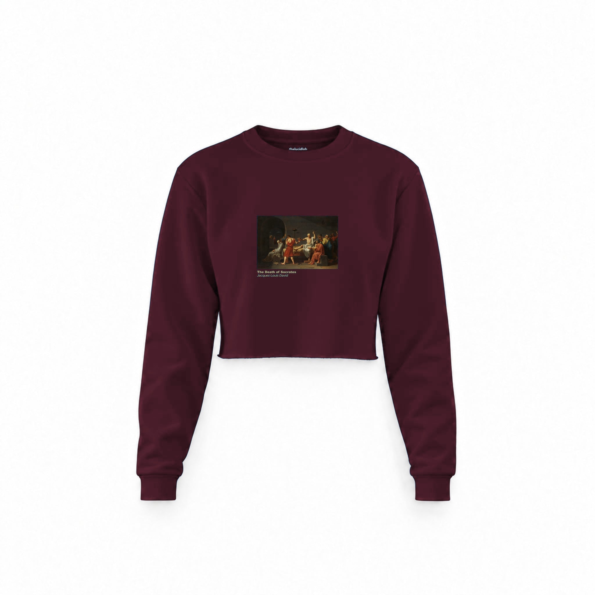 The Death of Socrates Crop Sweatshirt — Bordo — Görsel 1