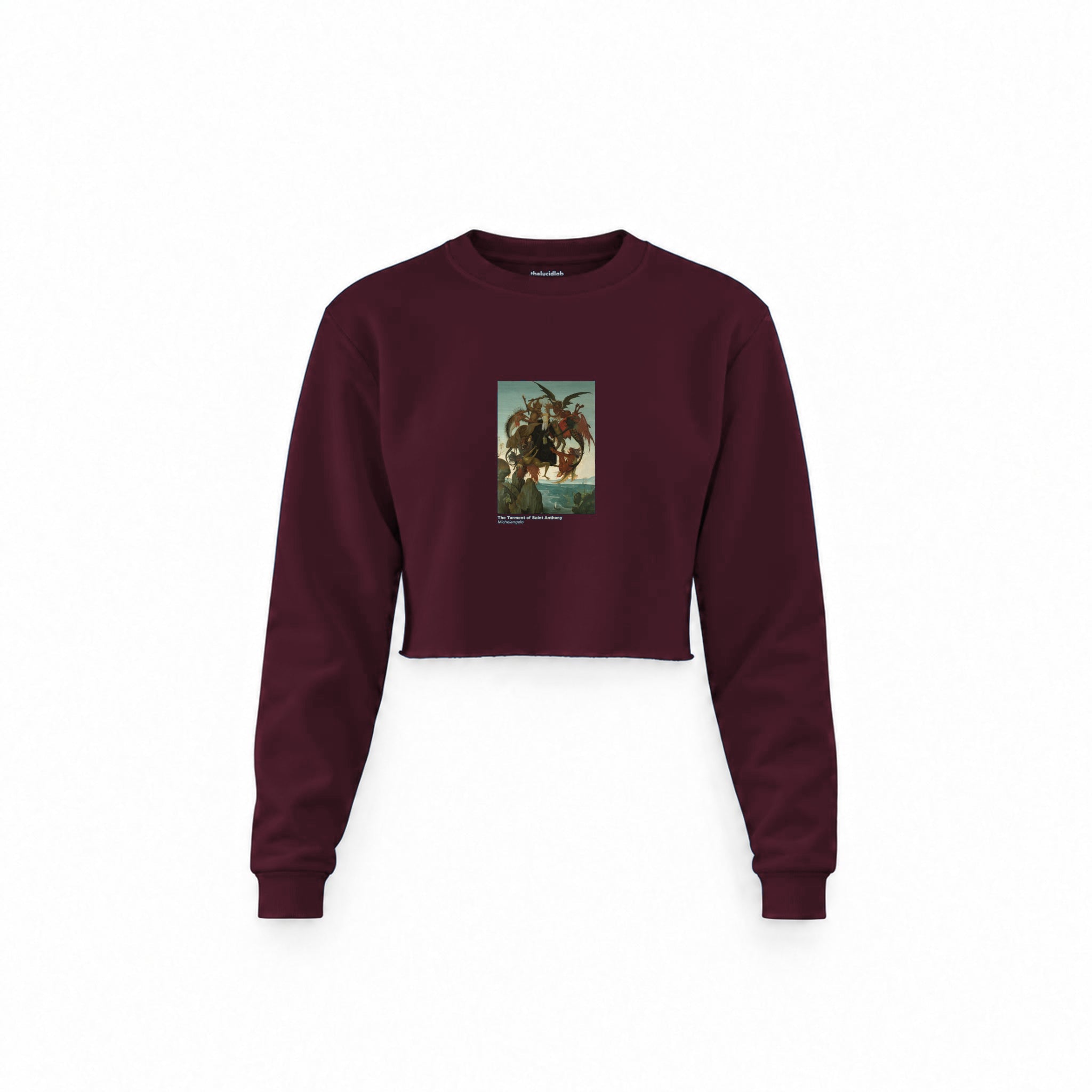 The Torment of Saint Anthony Crop Sweatshirt — Bordo — Görsel 1