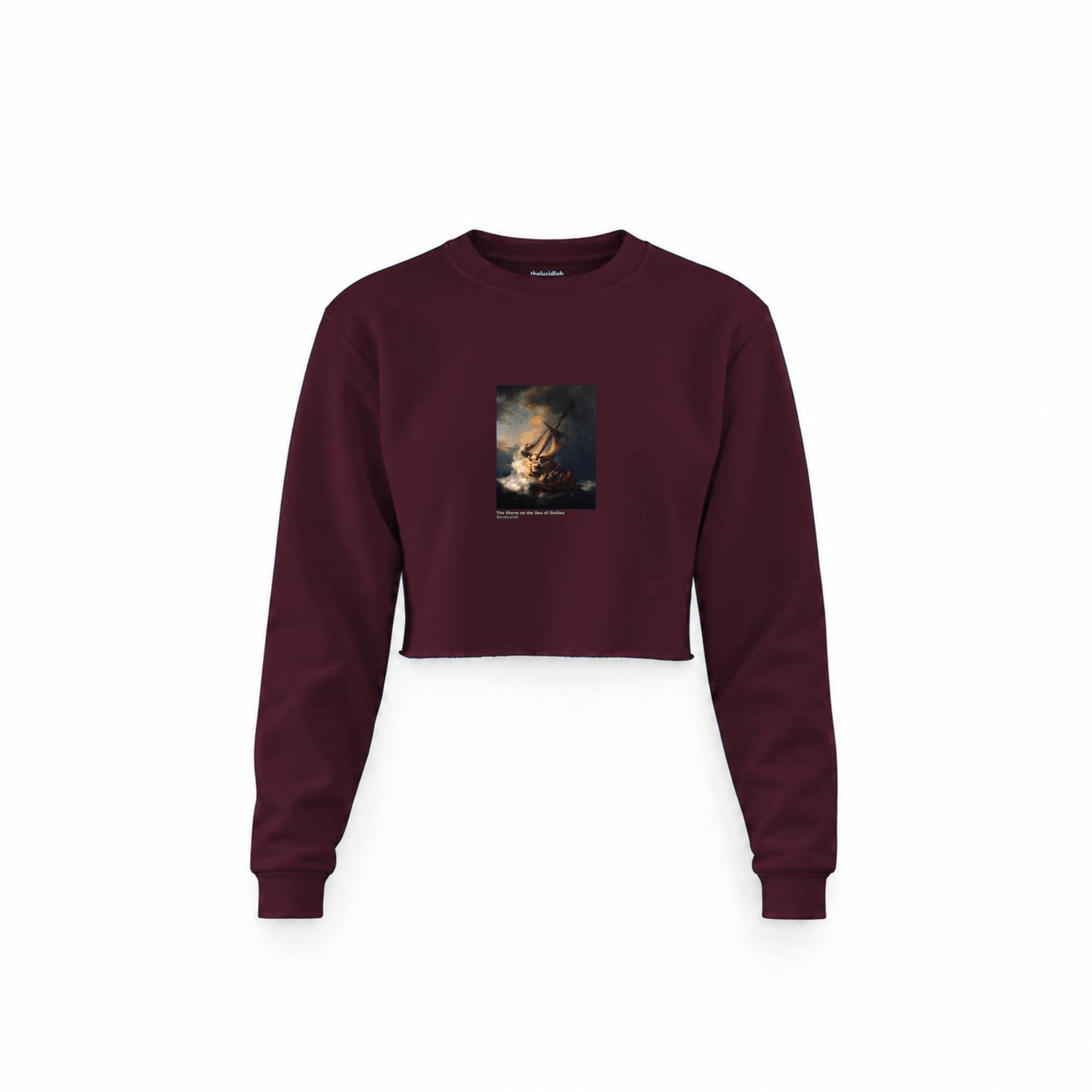 The Storm on the Sea of Galilee Crop Sweatshirt — Bordo — Görsel 1