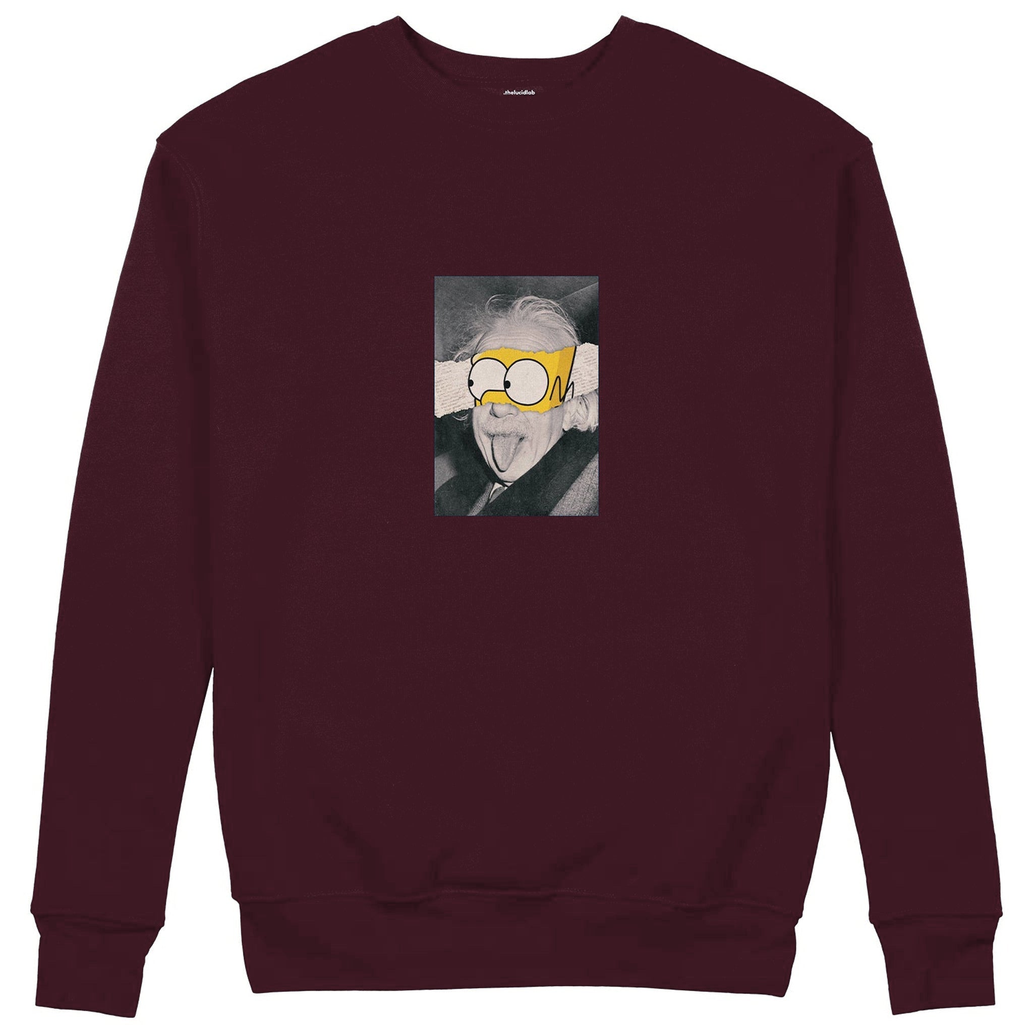 Albert Einstein / Homer Simpson Sweatshirt — Bordo — Görsel 1