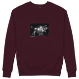 Led Zeppelin Pontiac Silverdome 1977 Sweatshirt — Bordo — Görsel 1
