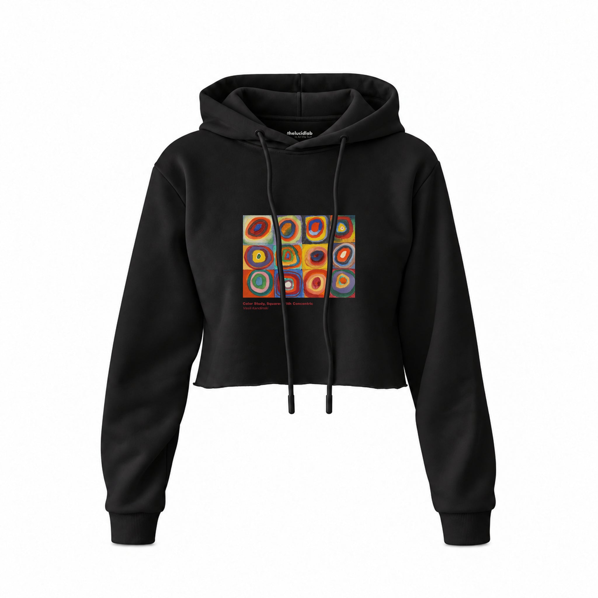 Color Study, Squares With Concentric Circles Crop Hoodie — Siyah — Ön baskı