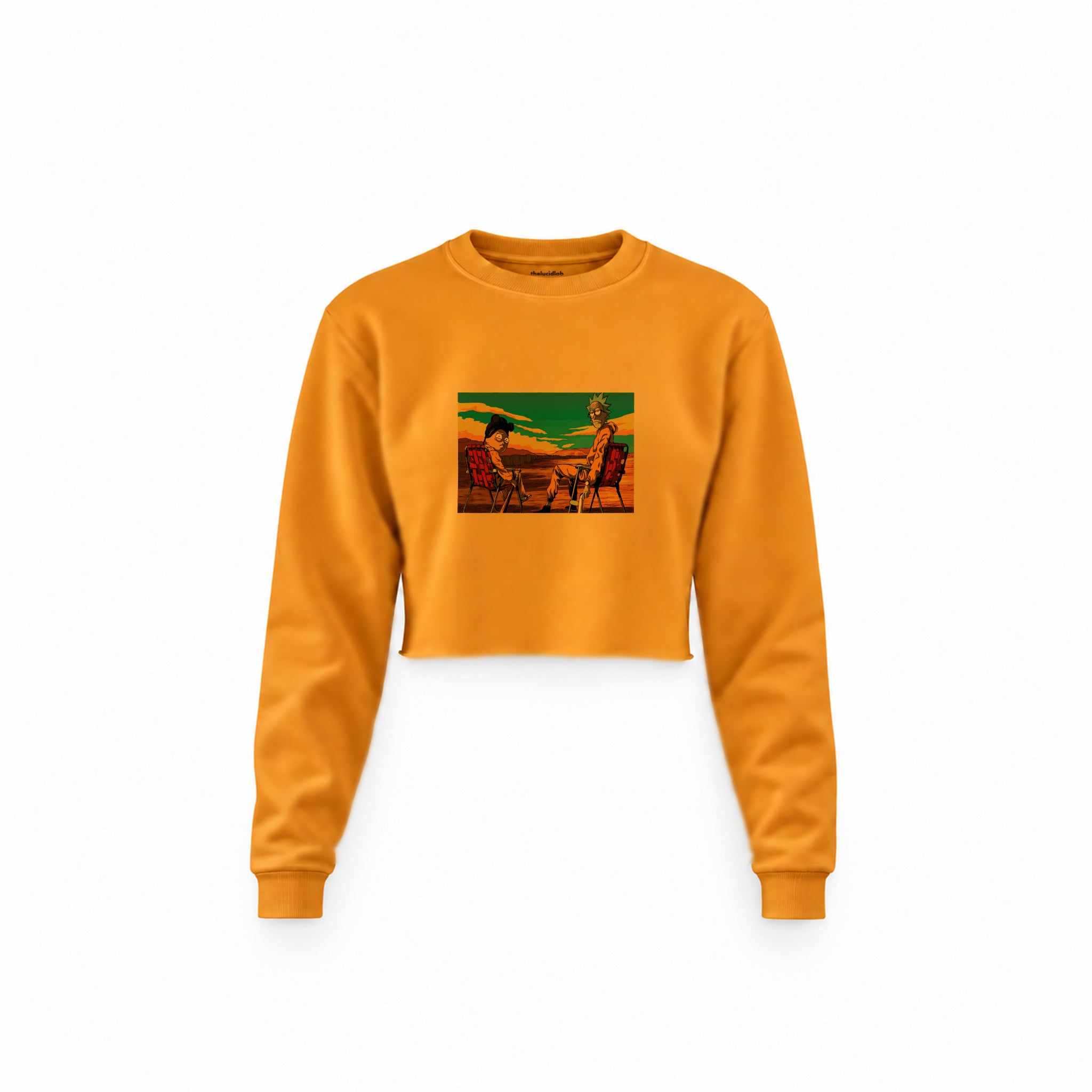 Breaking Bad / Rick and Morty Crop Sweatshirt — Turuncu — Ön baskı