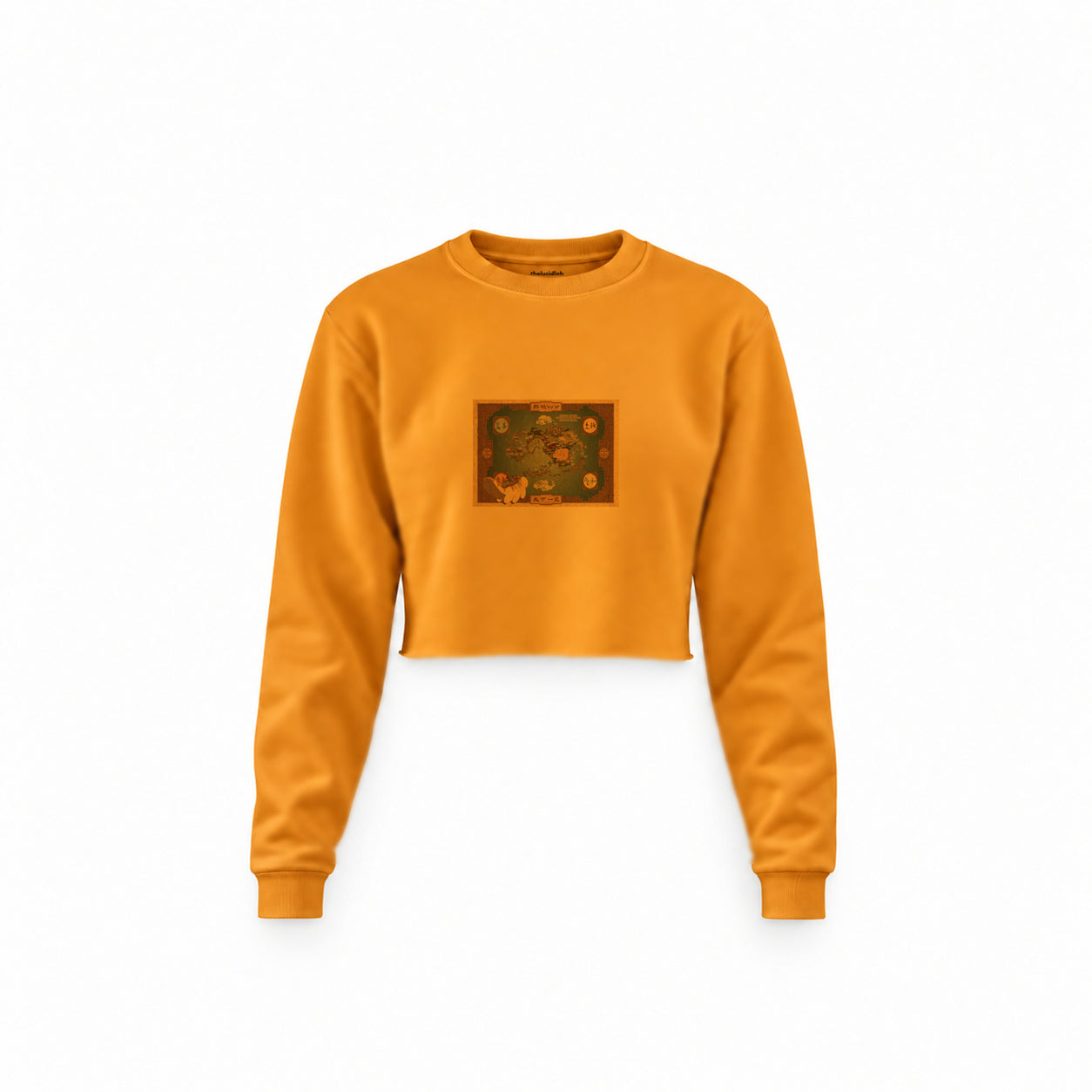 Avatar The Last Airbender Map Crop Sweatshirt — Turuncu — Ön baskı