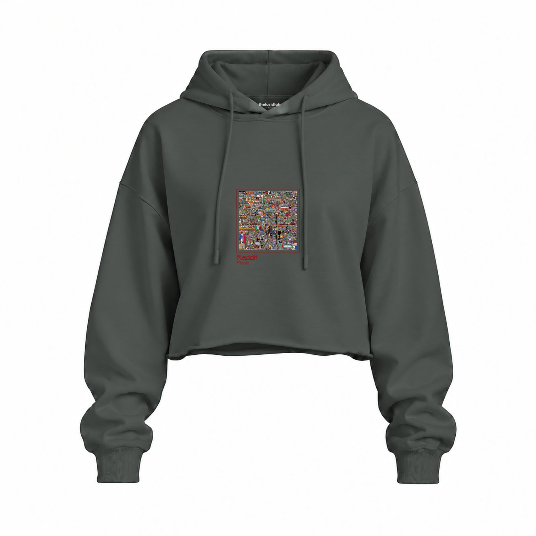 Reddit Place Oversize Crop Hoodie — Antrasit — Ön baskı
