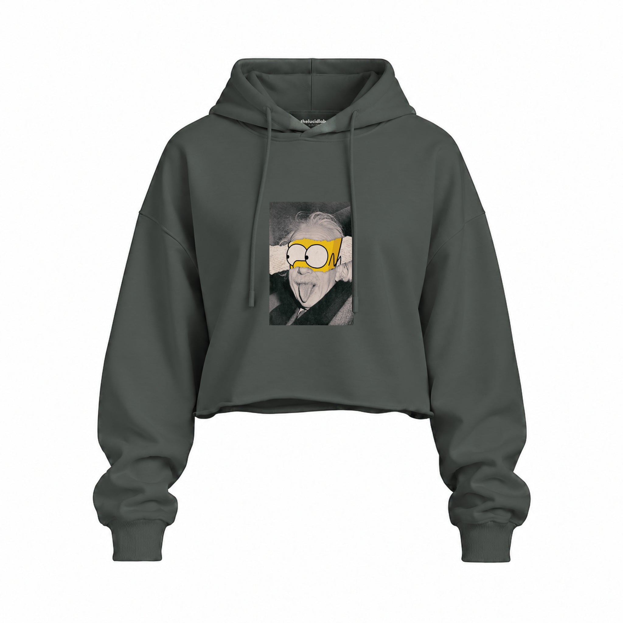 Albert Einstein / Homer Simpson Oversize Crop Hoodie — Antrasit — Ön baskı