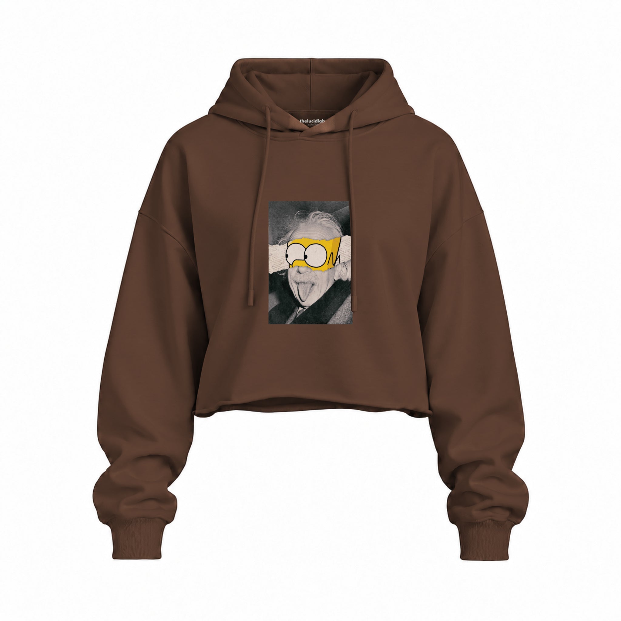 Albert Einstein / Homer Simpson Oversize Crop Hoodie — Kahverengi — Ön baskı