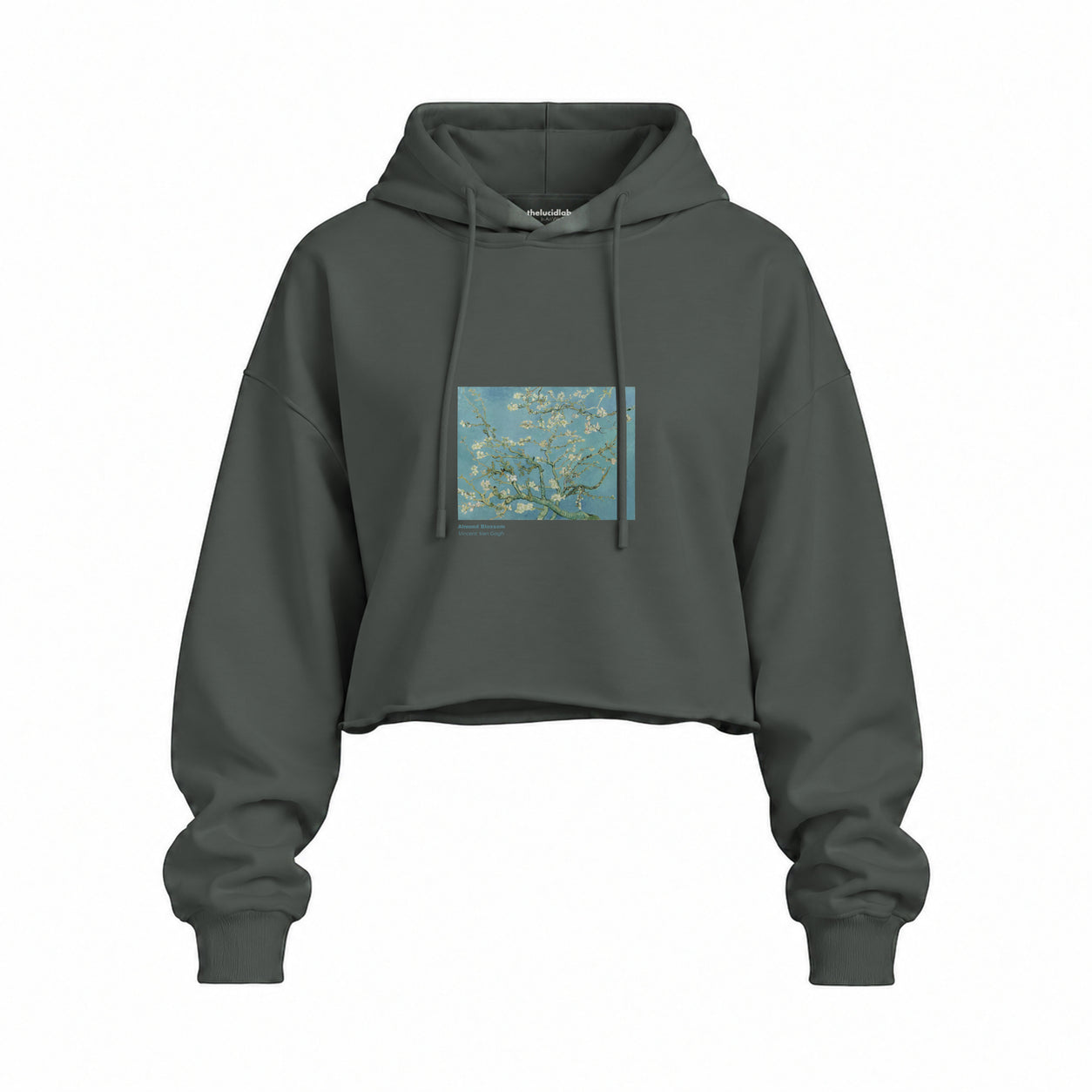 Almond Blossoms Oversize Crop Hoodie — Antrasit — Ön baskı