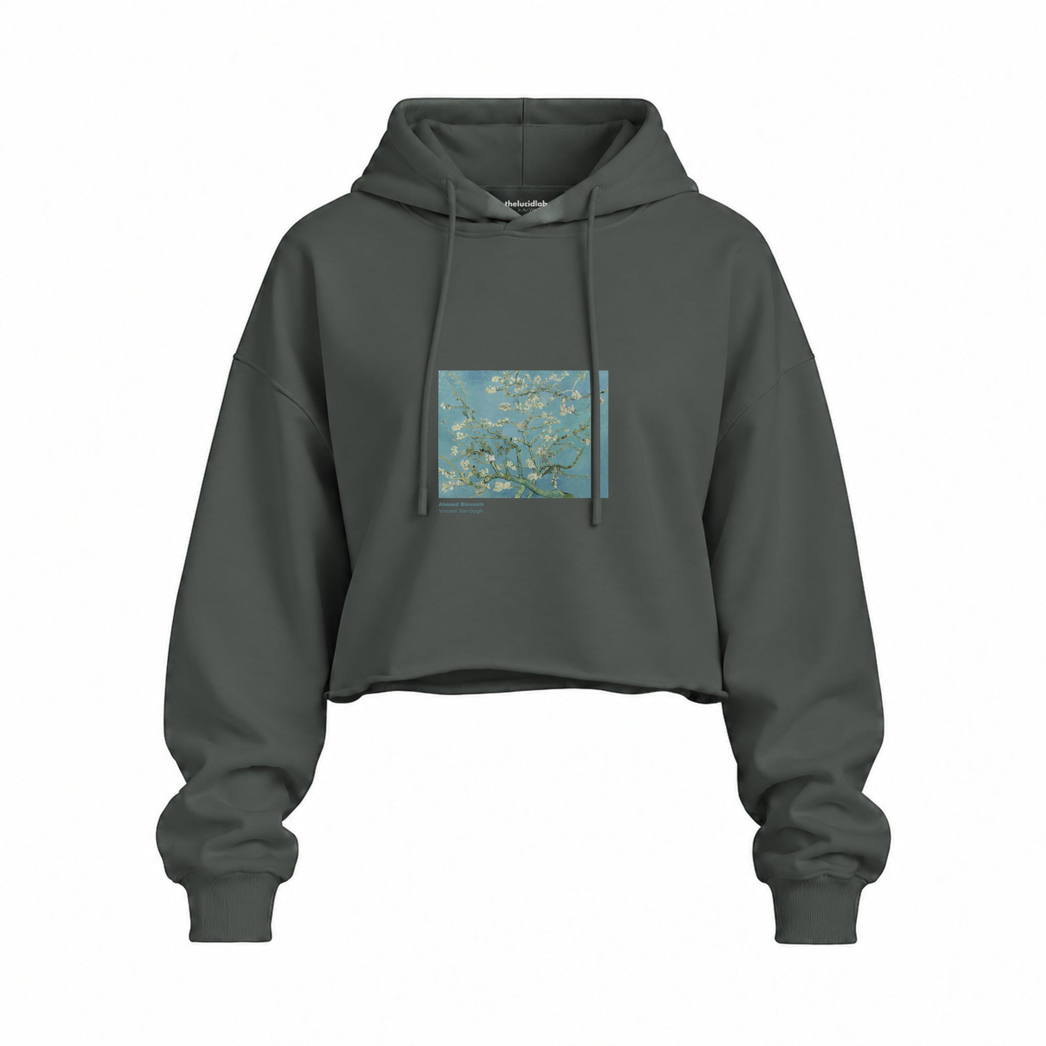 Almond Blossoms Oversize Crop Hoodie — Antrasit — Ön baskı