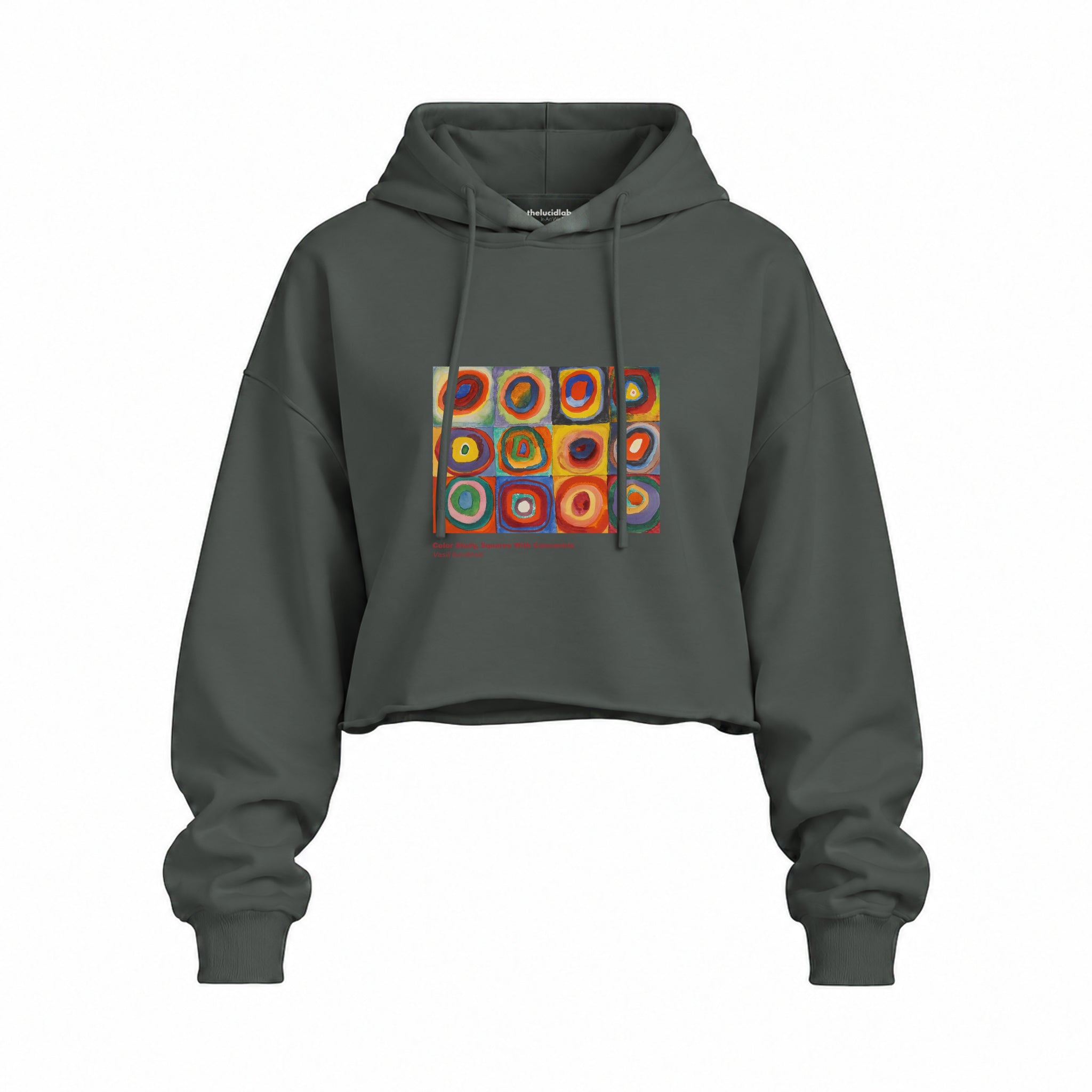 Color Study, Squares With Concentric Circles Oversize Crop Hoodie — Antrasit — Ön baskı