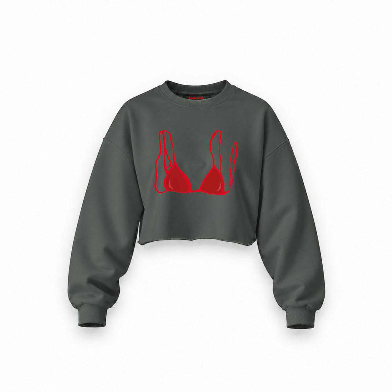 Red Bikini Oversize Crop Sweatshirt — Antrasit — Ön baskı