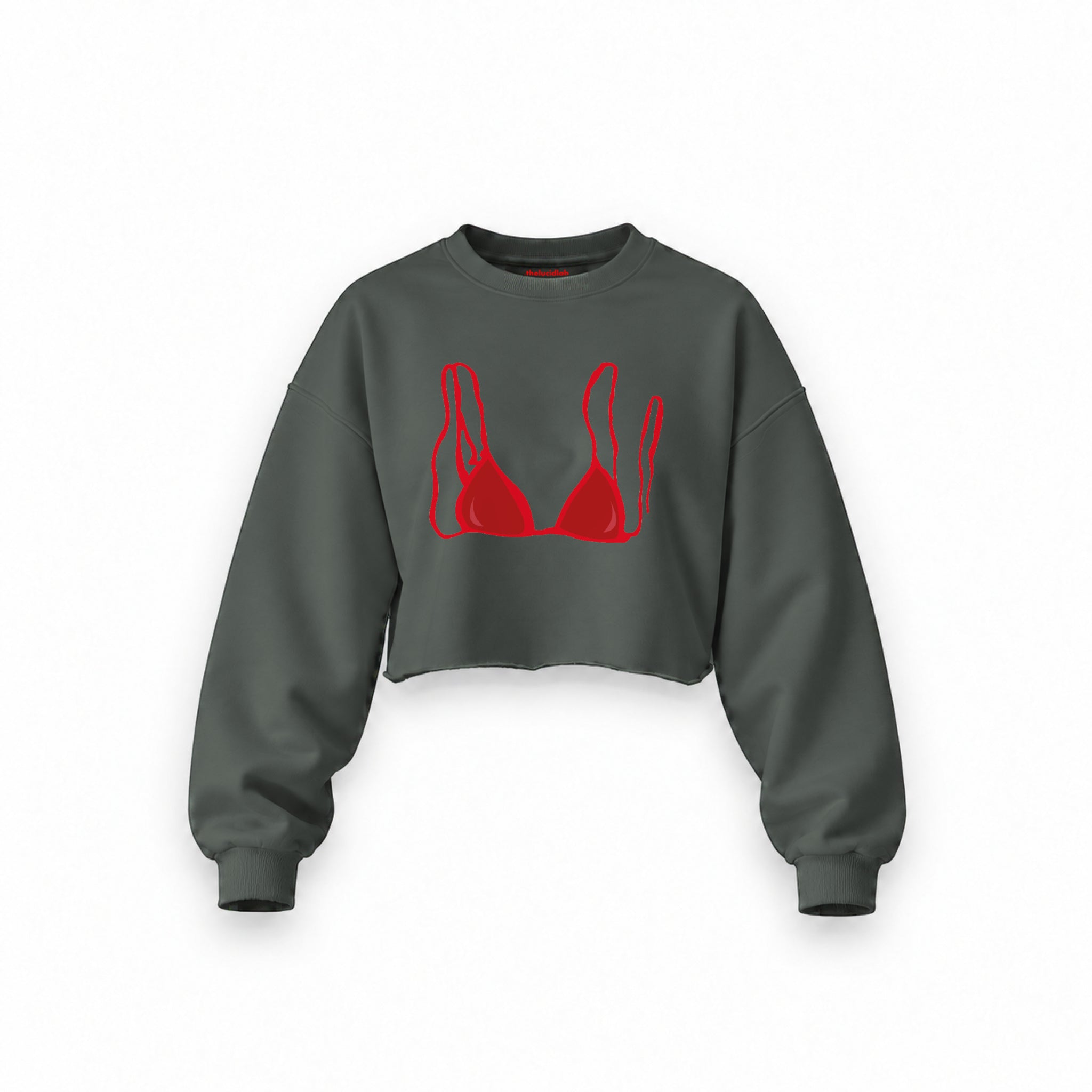 Red Bikini Oversize Crop Sweatshirt — Antrasit — Ön baskı