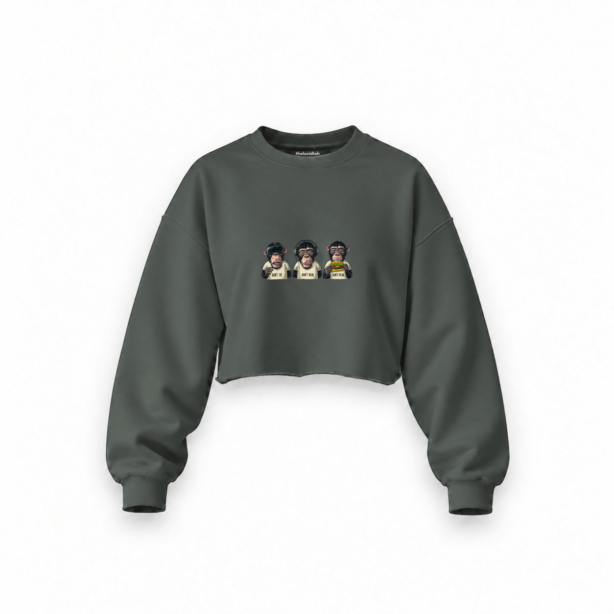 Diplomatic Monkeys Oversize Crop Sweatshirt — Antrasit — Ön baskı