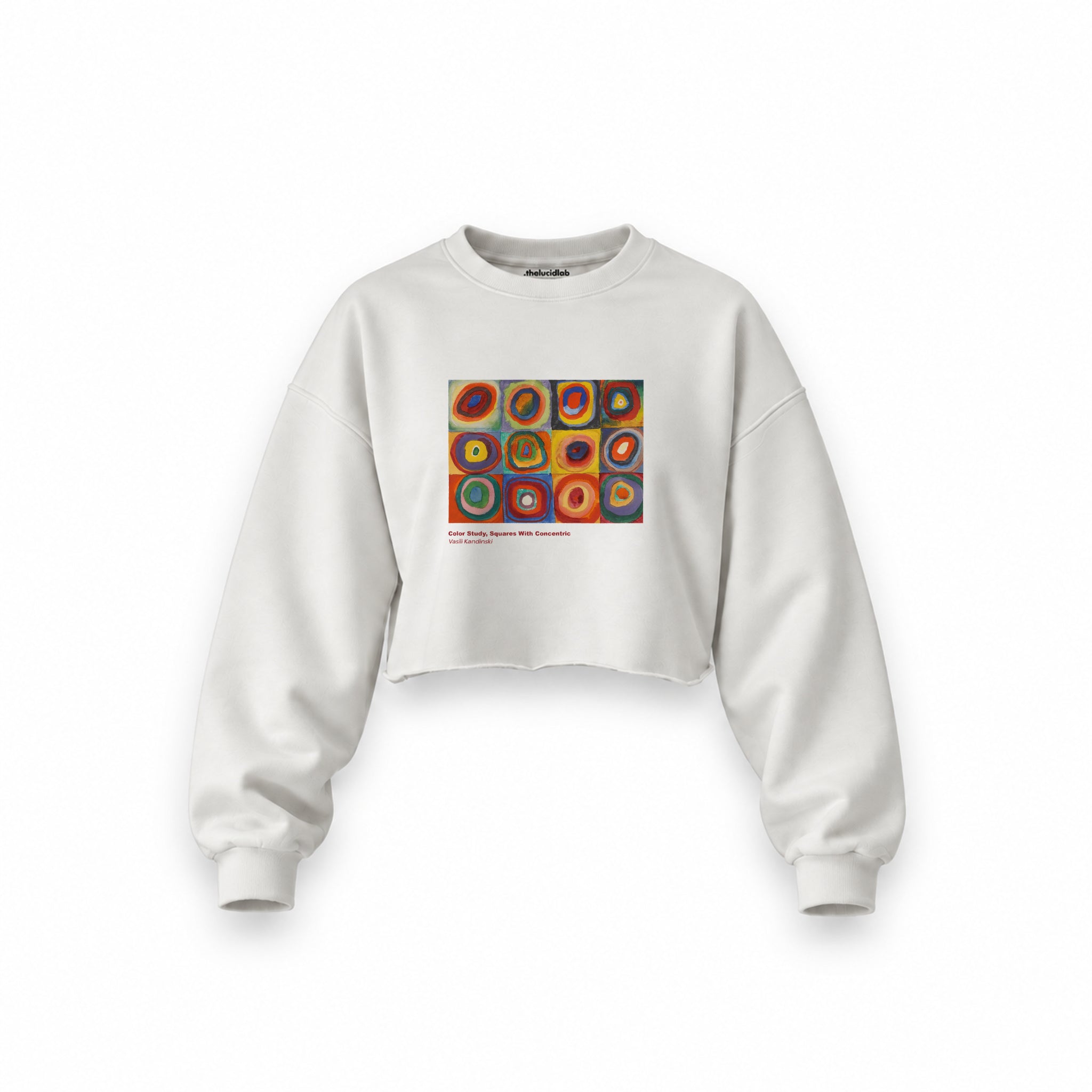 Color Study, Squares With Concentric Circles Oversize Crop Sweatshirt — Beyaz — Ön baskı