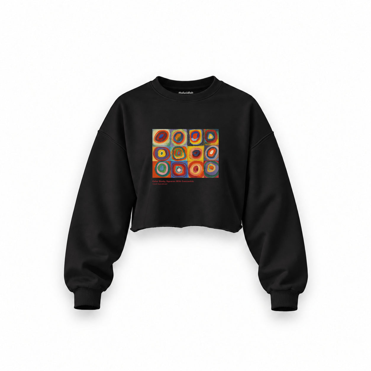 Color Study, Squares With Concentric Circles Oversize Crop Sweatshirt — Siyah — Ön baskı