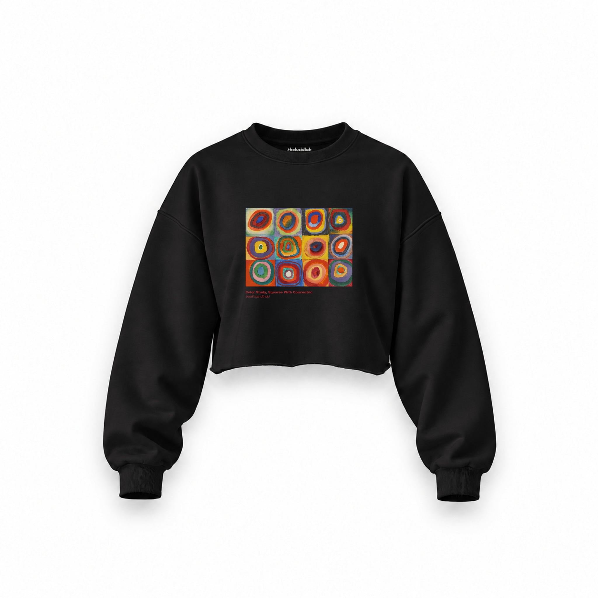 Color Study, Squares With Concentric Circles Oversize Crop Sweatshirt — Siyah — Ön baskı