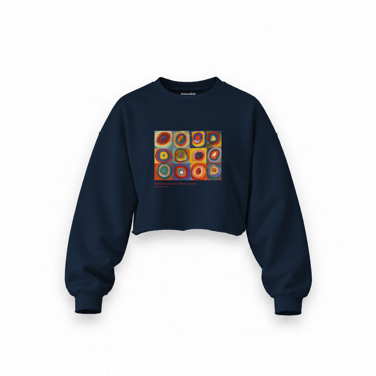 Color Study, Squares With Concentric Circles Oversize Crop Sweatshirt — Lacivert — Ön baskı
