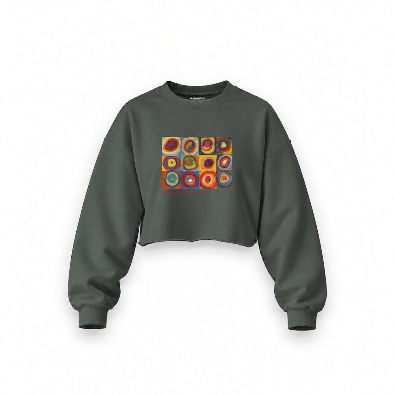 Color Study, Squares With Concentric Circles Oversize Crop Sweatshirt — Antrasit — Ön baskı