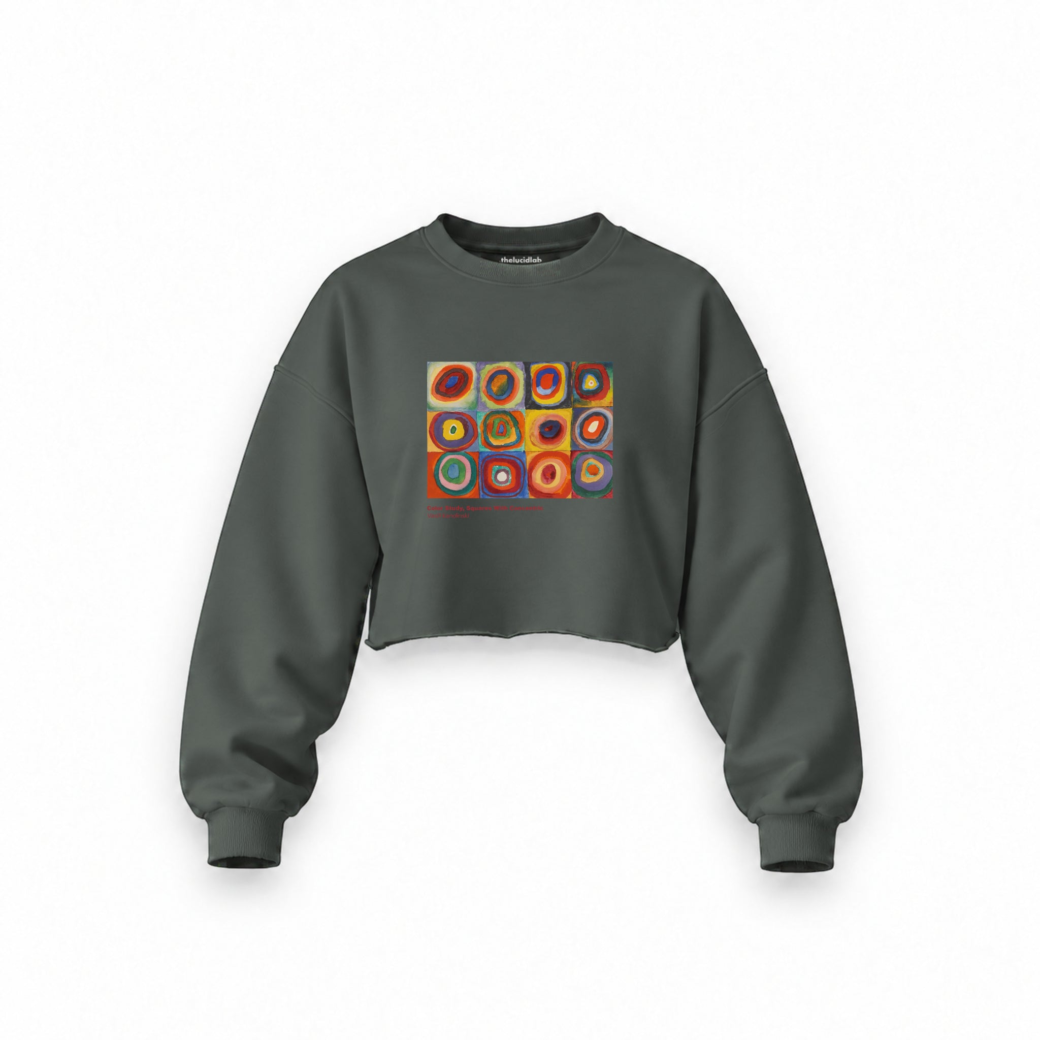 Color Study, Squares With Concentric Circles Oversize Crop Sweatshirt — Antrasit — Ön baskı