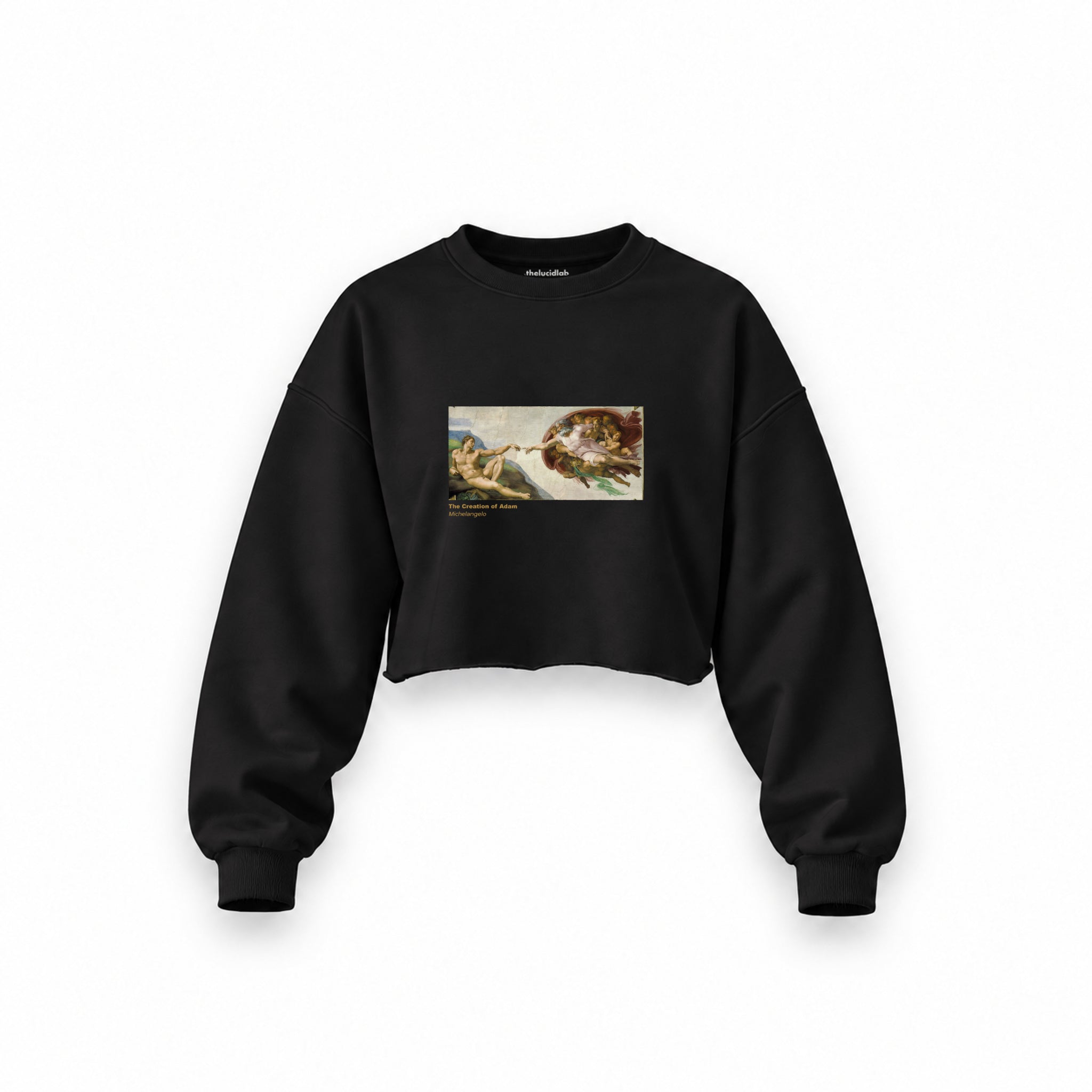 The Creation Oversize Crop Sweatshirt — Siyah — Ön baskı
