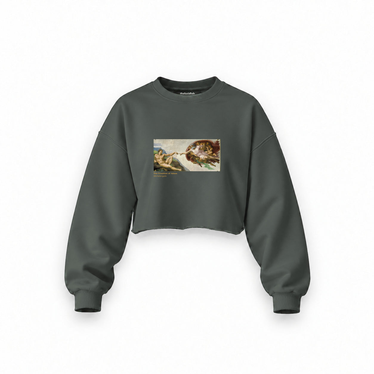 The Creation Oversize Crop Sweatshirt — Antrasit — Ön baskı