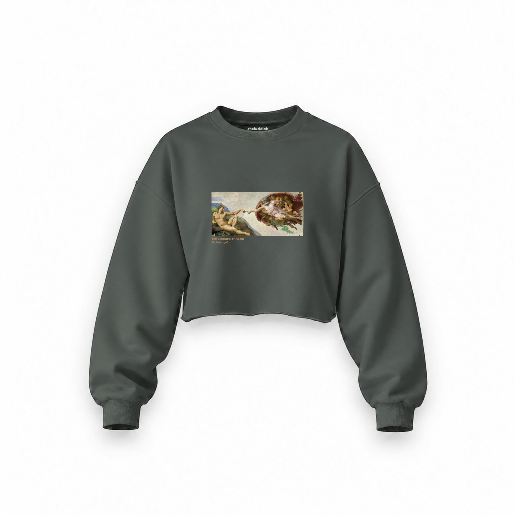 The Creation Oversize Crop Sweatshirt — Antrasit — Ön baskı