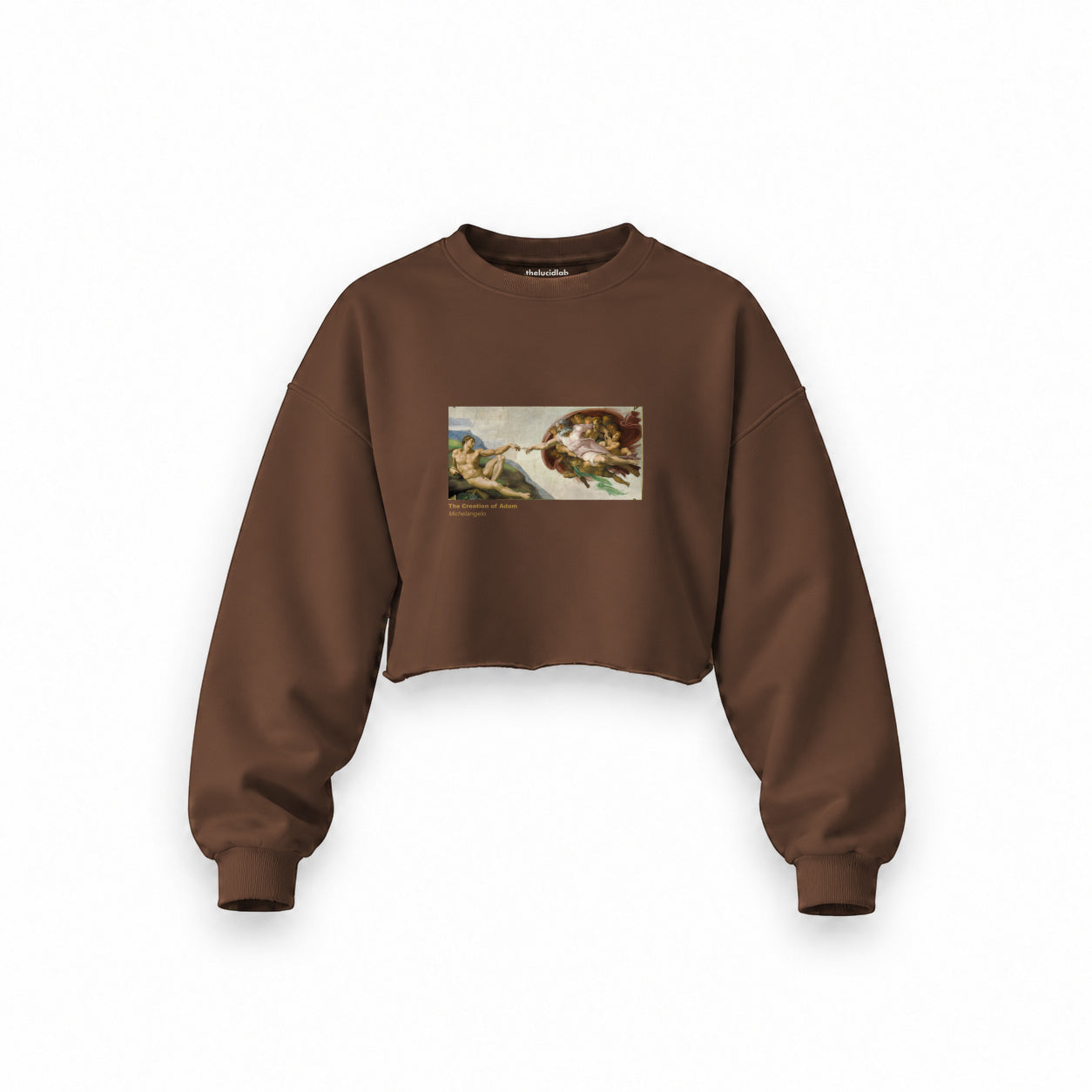 The Creation Oversize Crop Sweatshirt — Kahverengi — Ön baskı