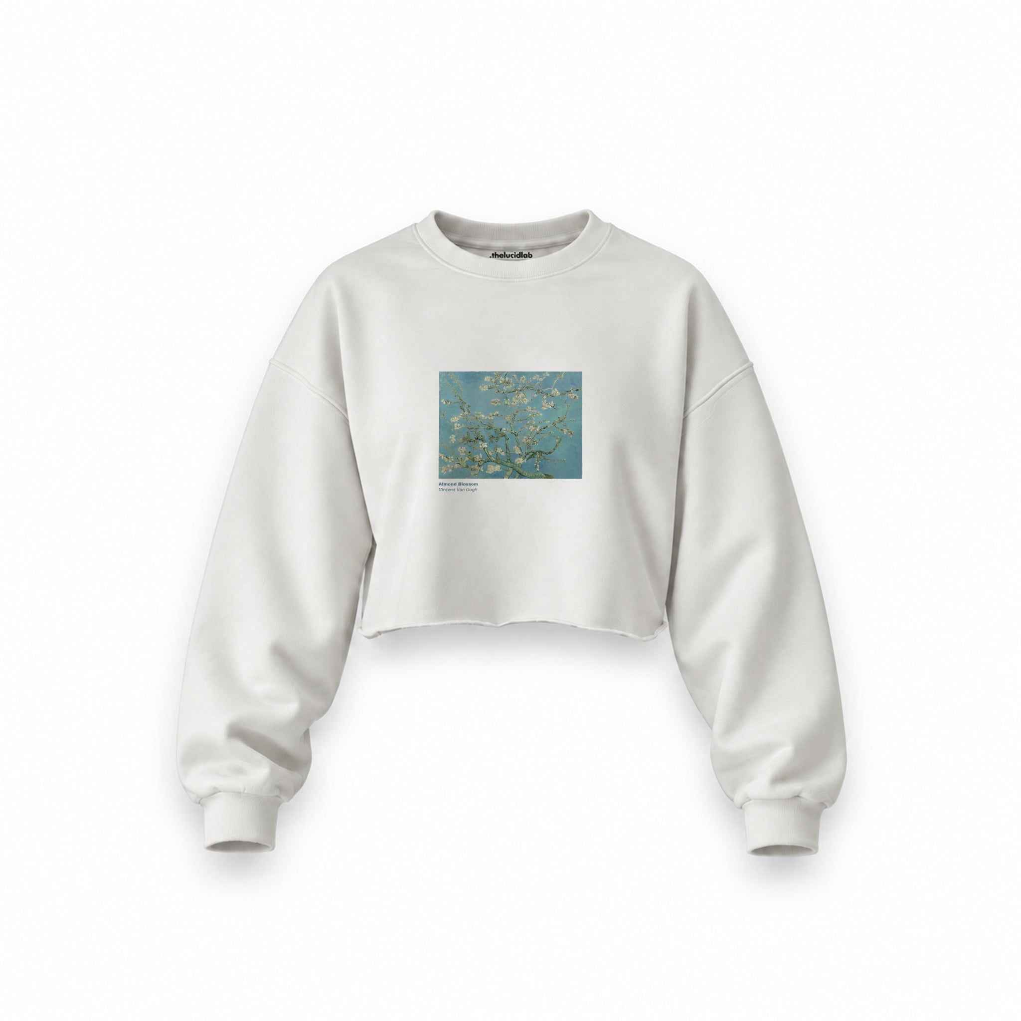 Almond Blossoms Oversize Crop Sweatshirt — Beyaz — Ön baskı
