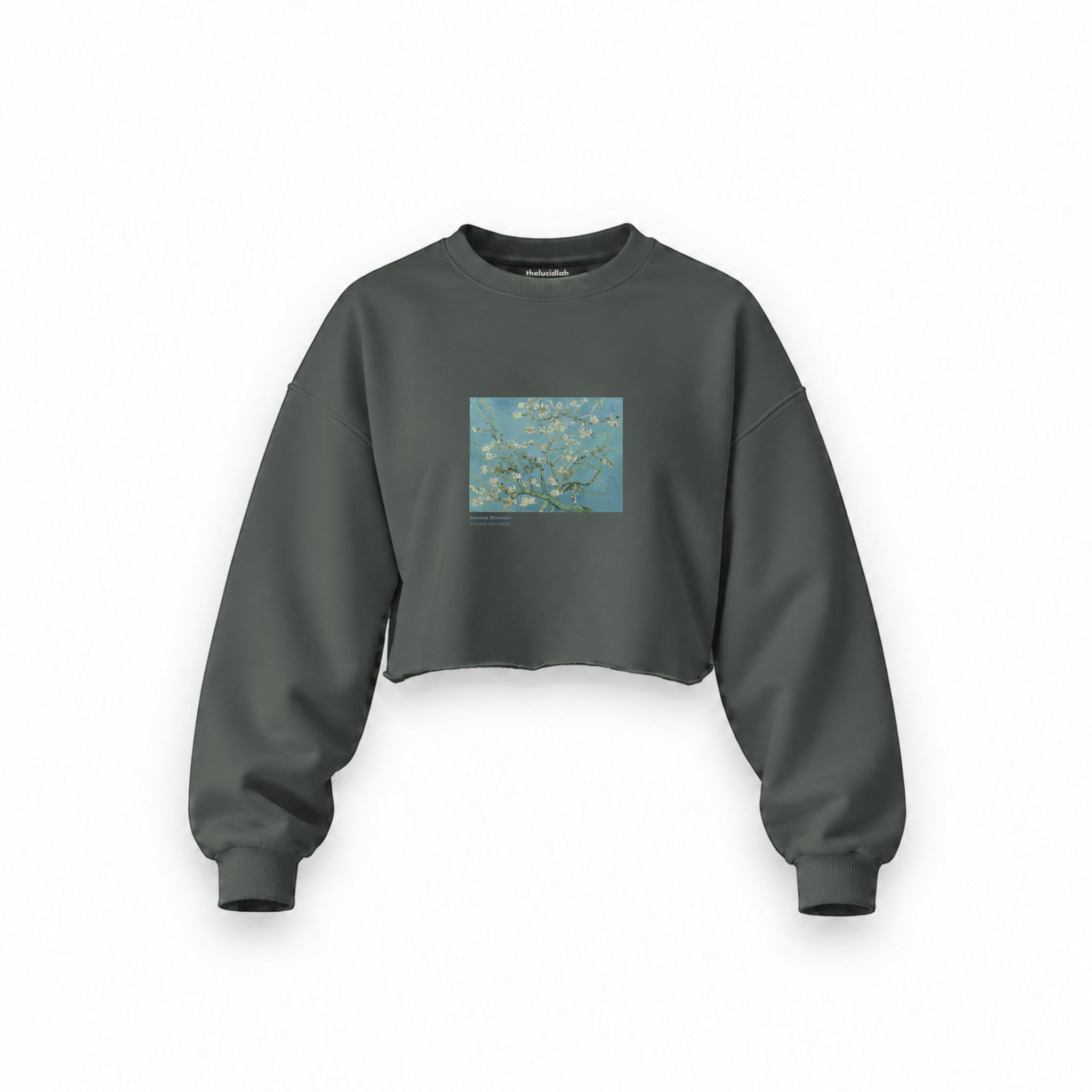 Almond Blossoms Oversize Crop Sweatshirt — Antrasit — Ön baskı
