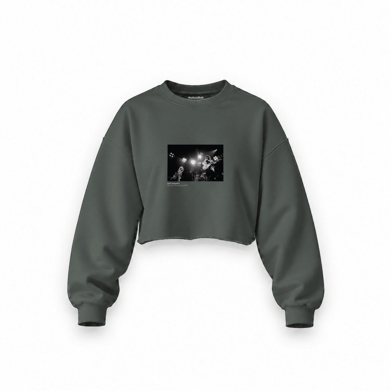 Led Zeppelin Pontiac Silverdome 1977 Oversize Crop Sweatshirt — Antrasit — Ön baskı