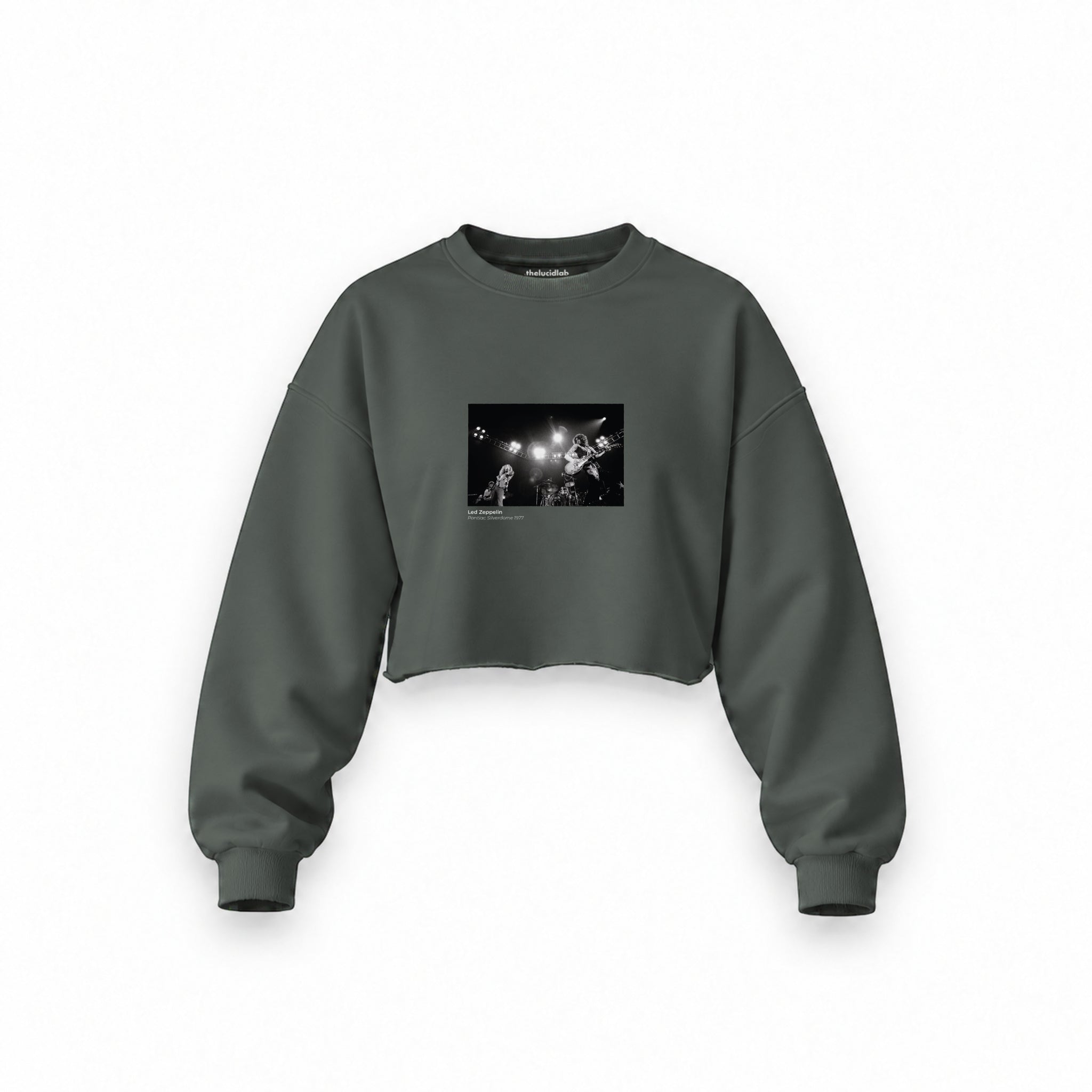 Led Zeppelin Pontiac Silverdome 1977 Oversize Crop Sweatshirt — Antrasit — Ön baskı