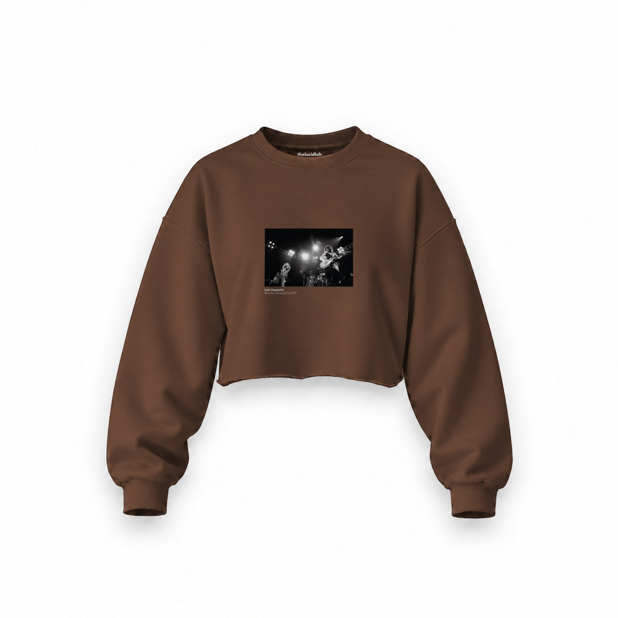 Led Zeppelin Pontiac Silverdome 1977 Oversize Crop Sweatshirt — Kahverengi — Ön baskı