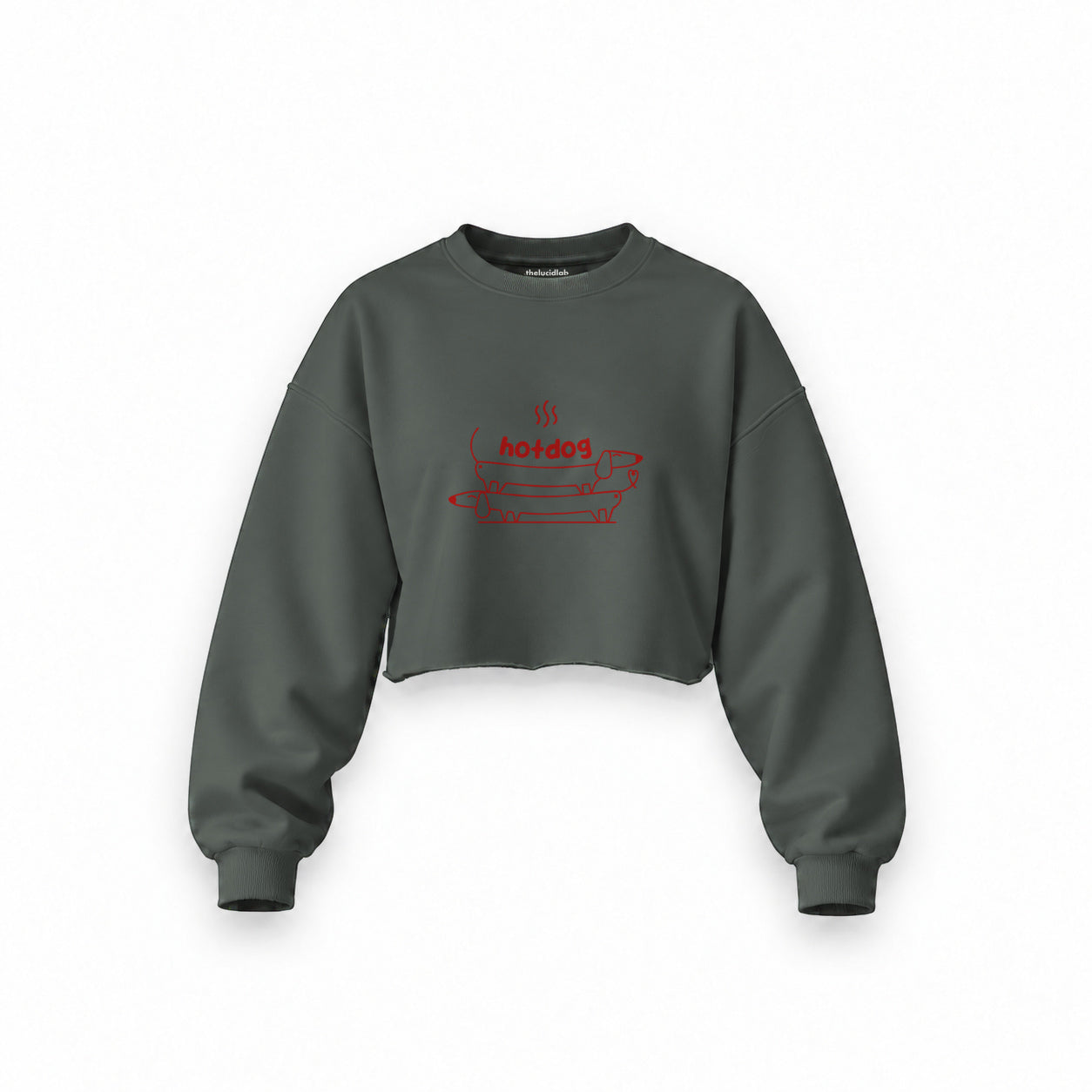 Hotdog Oversize Crop Sweatshirt — Antrasit — Ön baskı