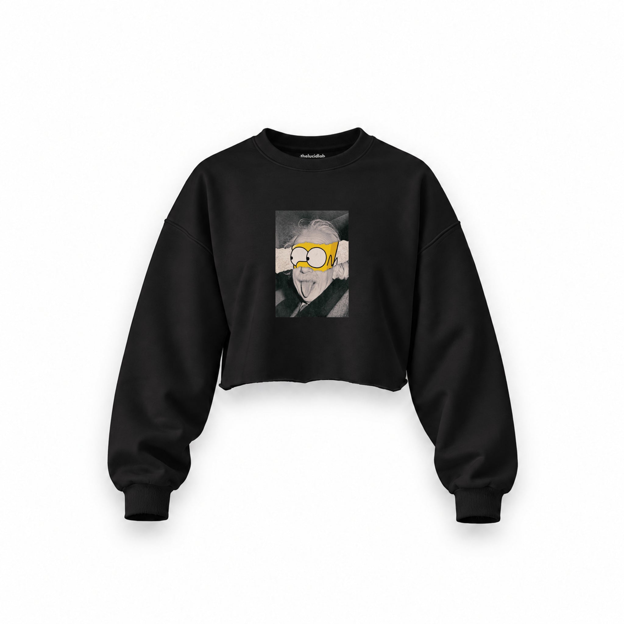 Albert Einstein / Homer Simpson Oversize Crop Sweatshirt — Siyah — Ön baskı