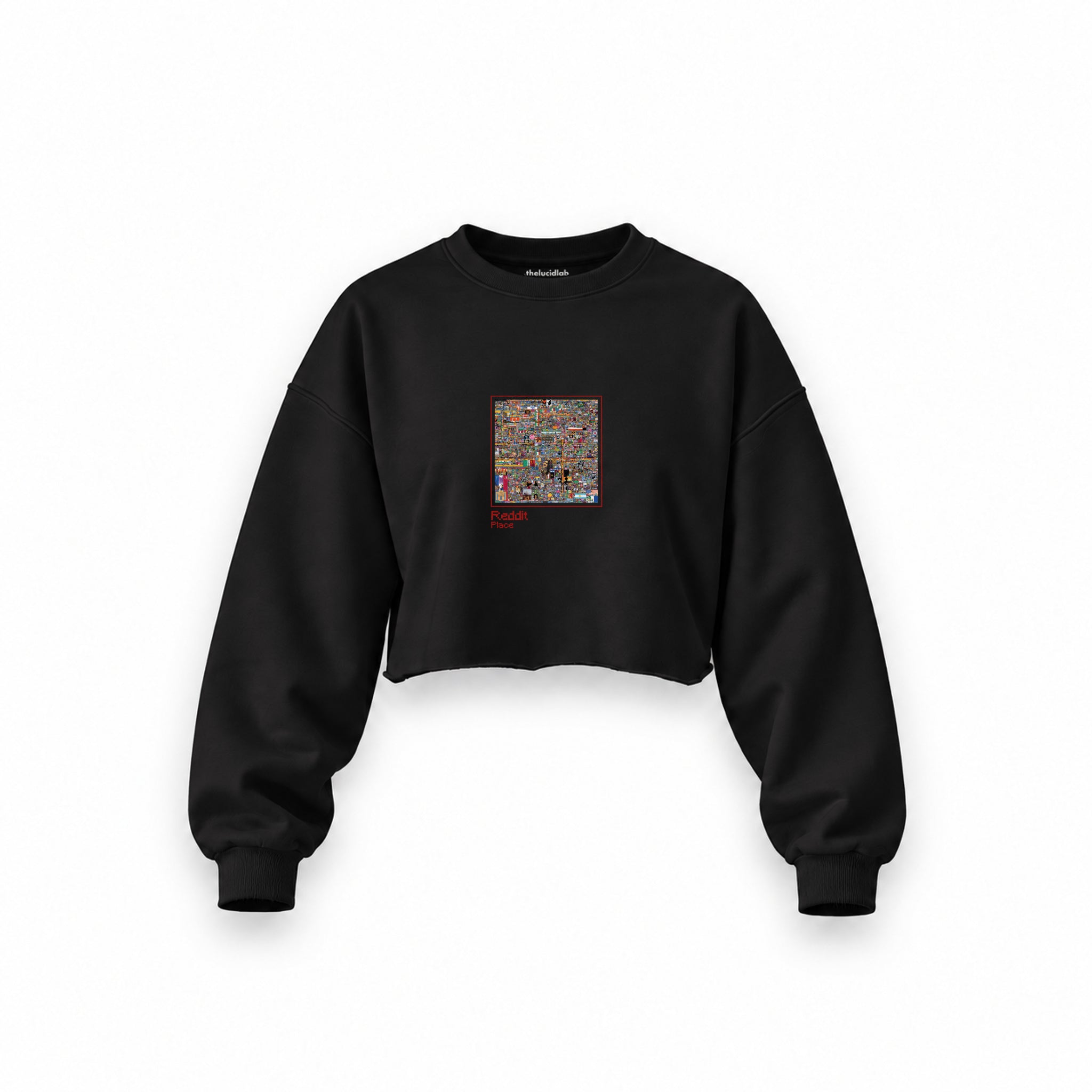 Reddit Place Oversize Crop Sweatshirt — Siyah — Ön baskı