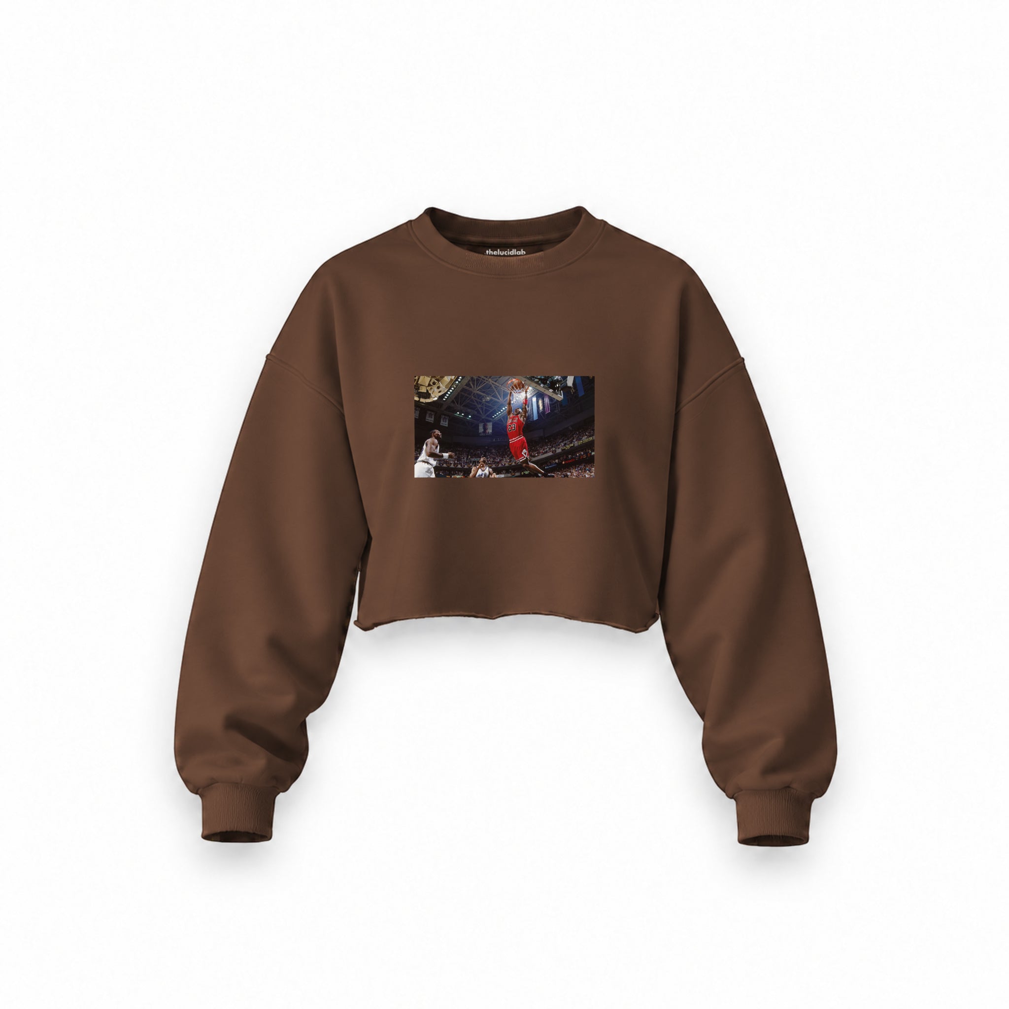 Michael Jordan Chicago Bulls 1997 Oversize Crop Sweatshirt — Kahverengi — Ön baskı