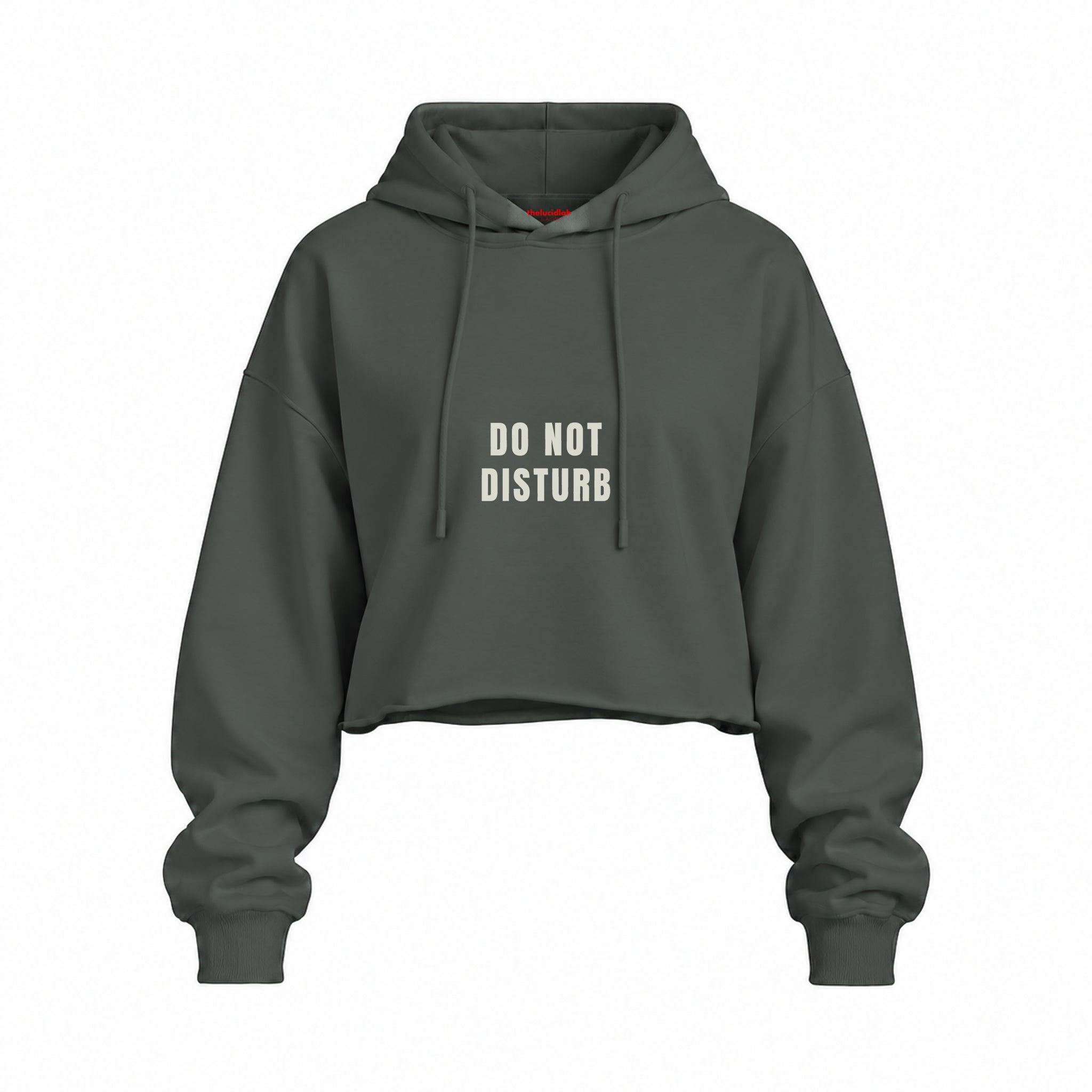 Do Not Disturb Oversize Crop Hoodie — Antrasit — Ön baskı