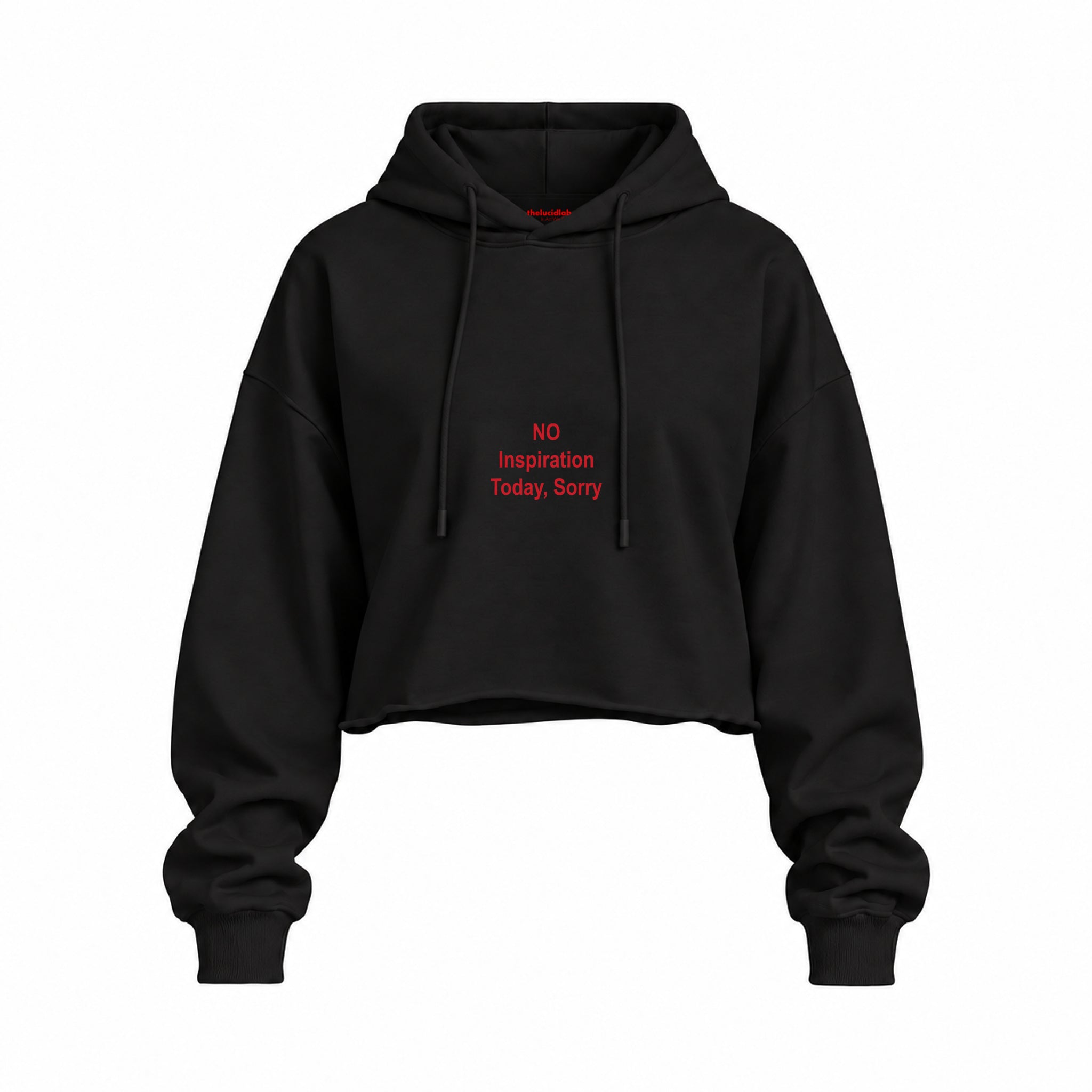 No Inspiration Today Sorry Oversize Crop Hoodie — Siyah — Ön baskı