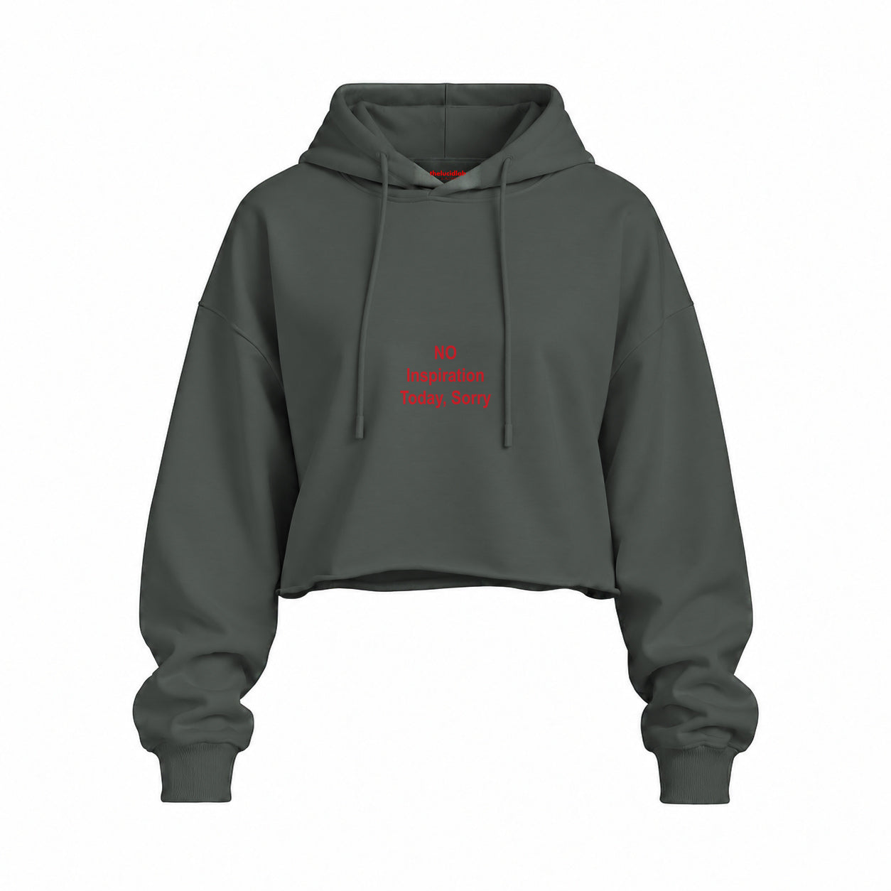 No Inspiration Today Sorry Oversize Crop Hoodie — Antrasit — Ön baskı