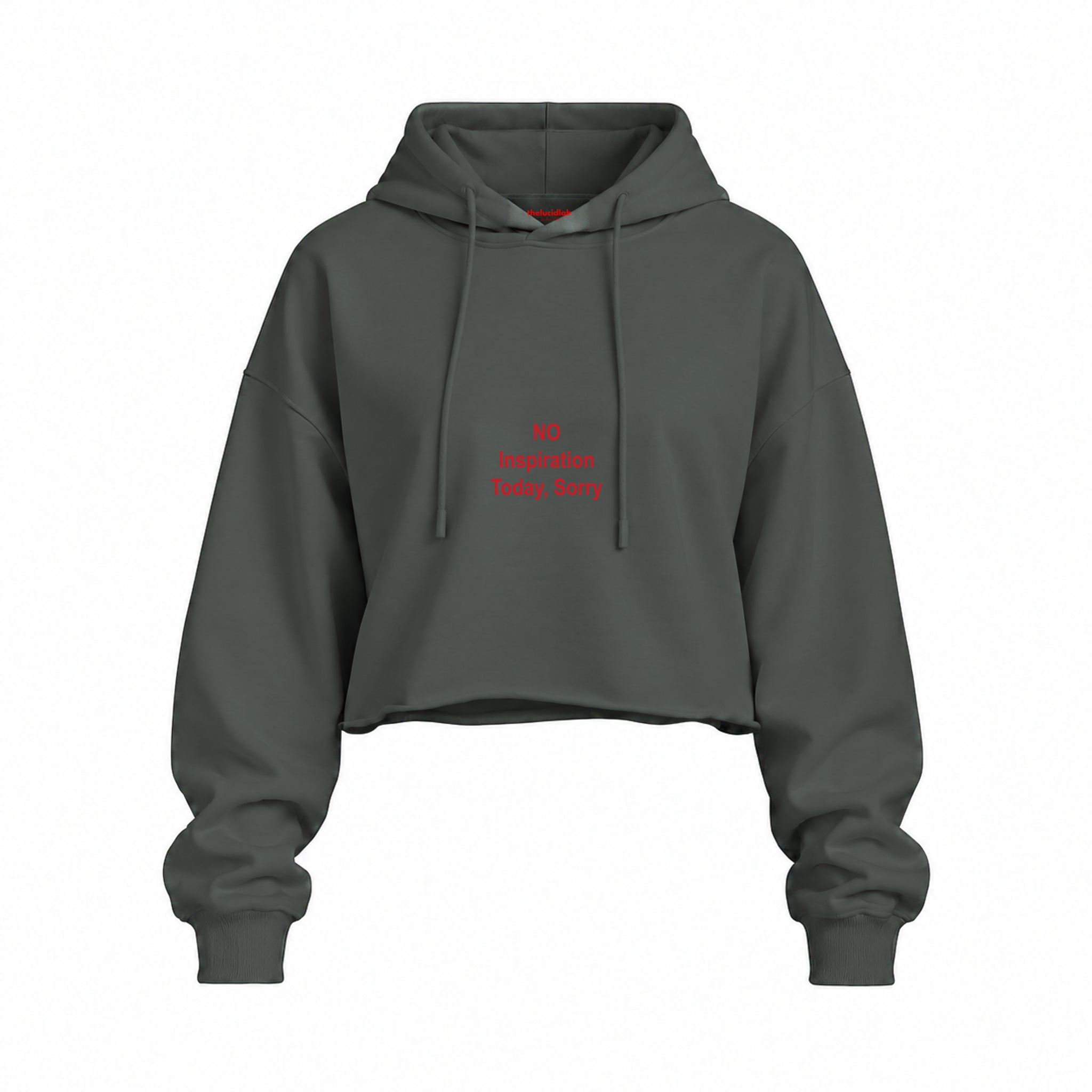 No Inspiration Today Sorry Oversize Crop Hoodie — Antrasit — Ön baskı