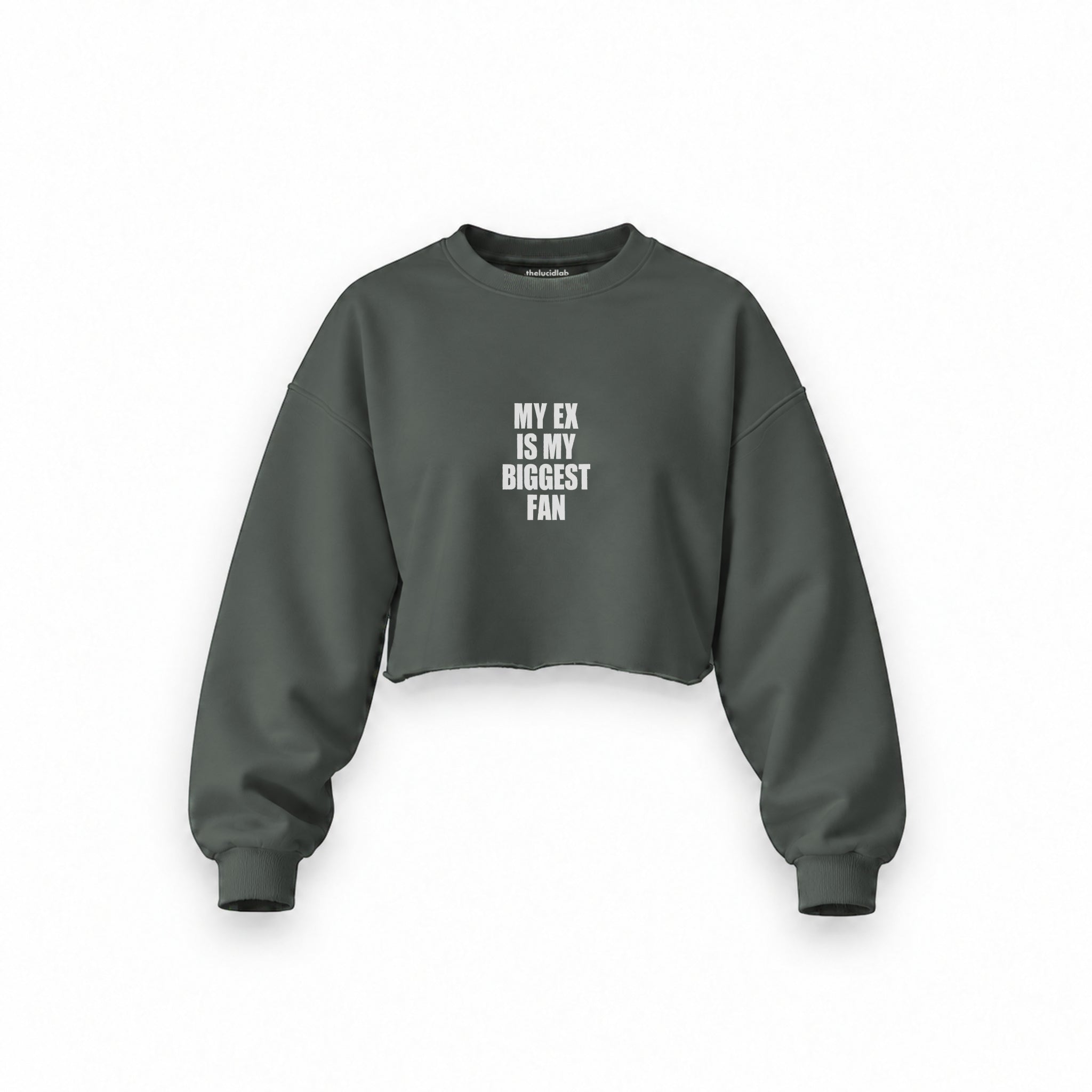 My Ex Is My Biggest Fan Oversize Crop Sweatshirt — Antrasit — Ön baskı