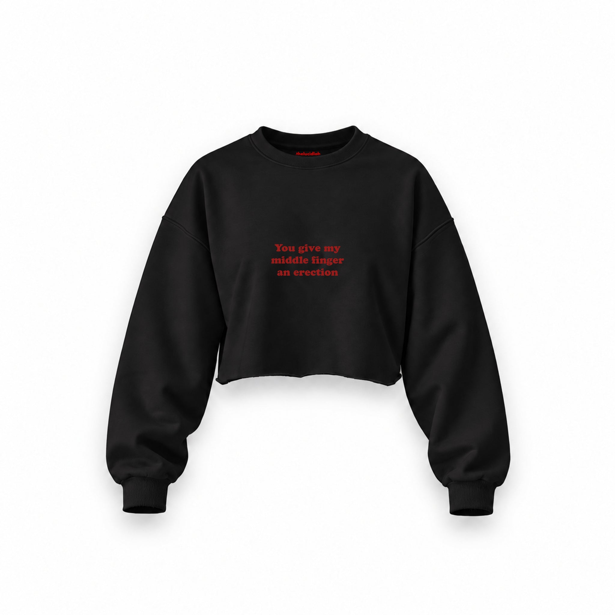 Give My Middle Finger Oversize Crop Sweatshirt — Siyah — Ön baskı