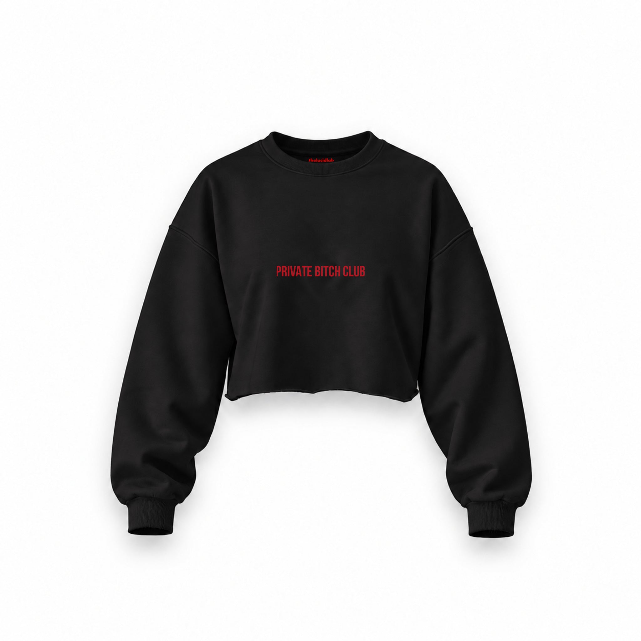 Private Bitch Club Oversize Crop Sweatshirt — Siyah — Ön baskı