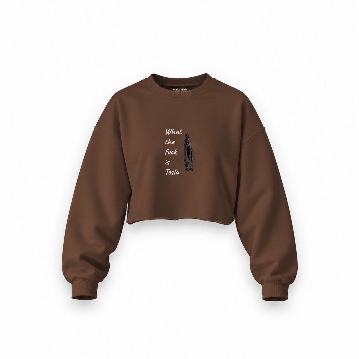 What The Fuck Is Tesla Oversize Crop Sweatshirt — Kahverengi — Ön baskı