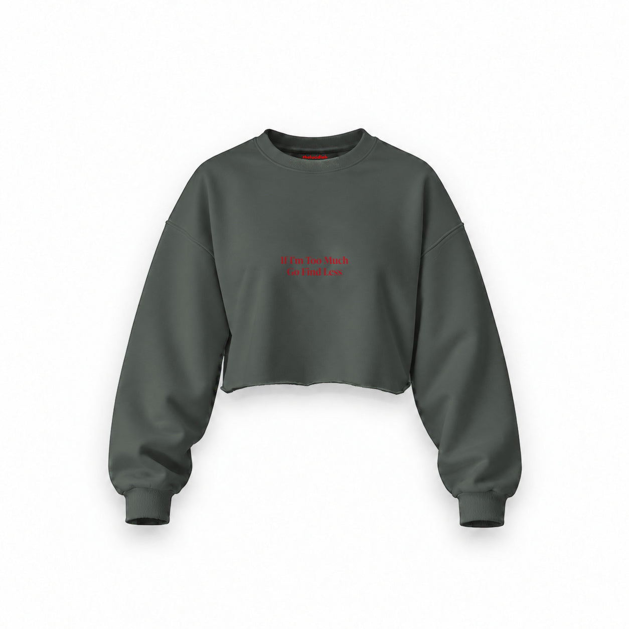 Go Find Less Oversize Crop Sweatshirt — Antrasit — Ön baskı