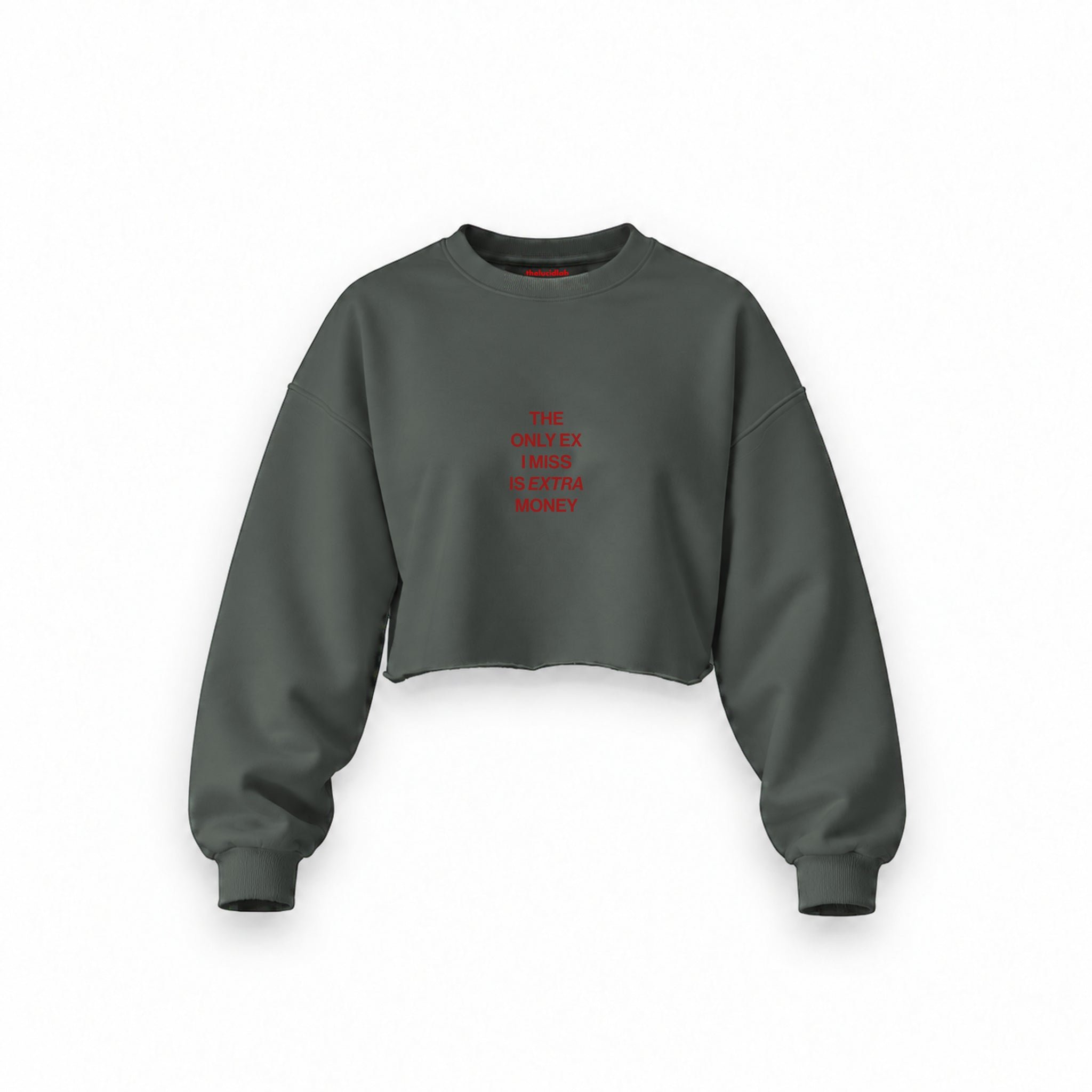 I Miss Is Extra Money Oversize Crop Sweatshirt — Antrasit — Ön baskı