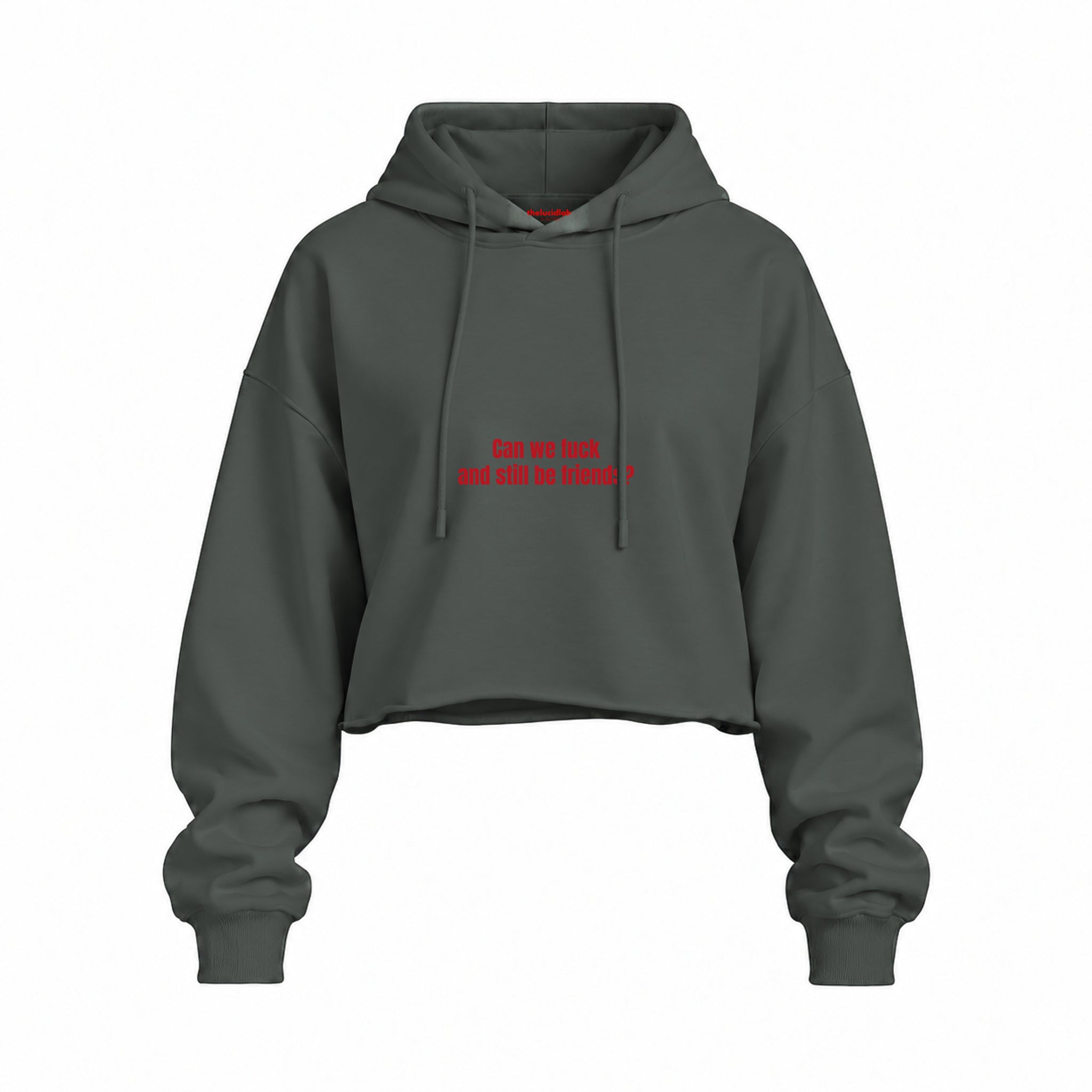 Can We Fuck Oversize Crop Hoodie — Antrasit — Ön baskı