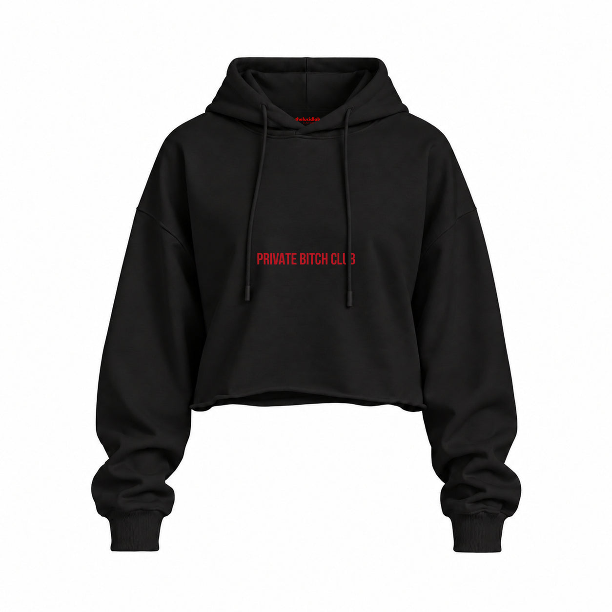 Private Bitch Club Oversize Crop Hoodie — Siyah — Ön baskı