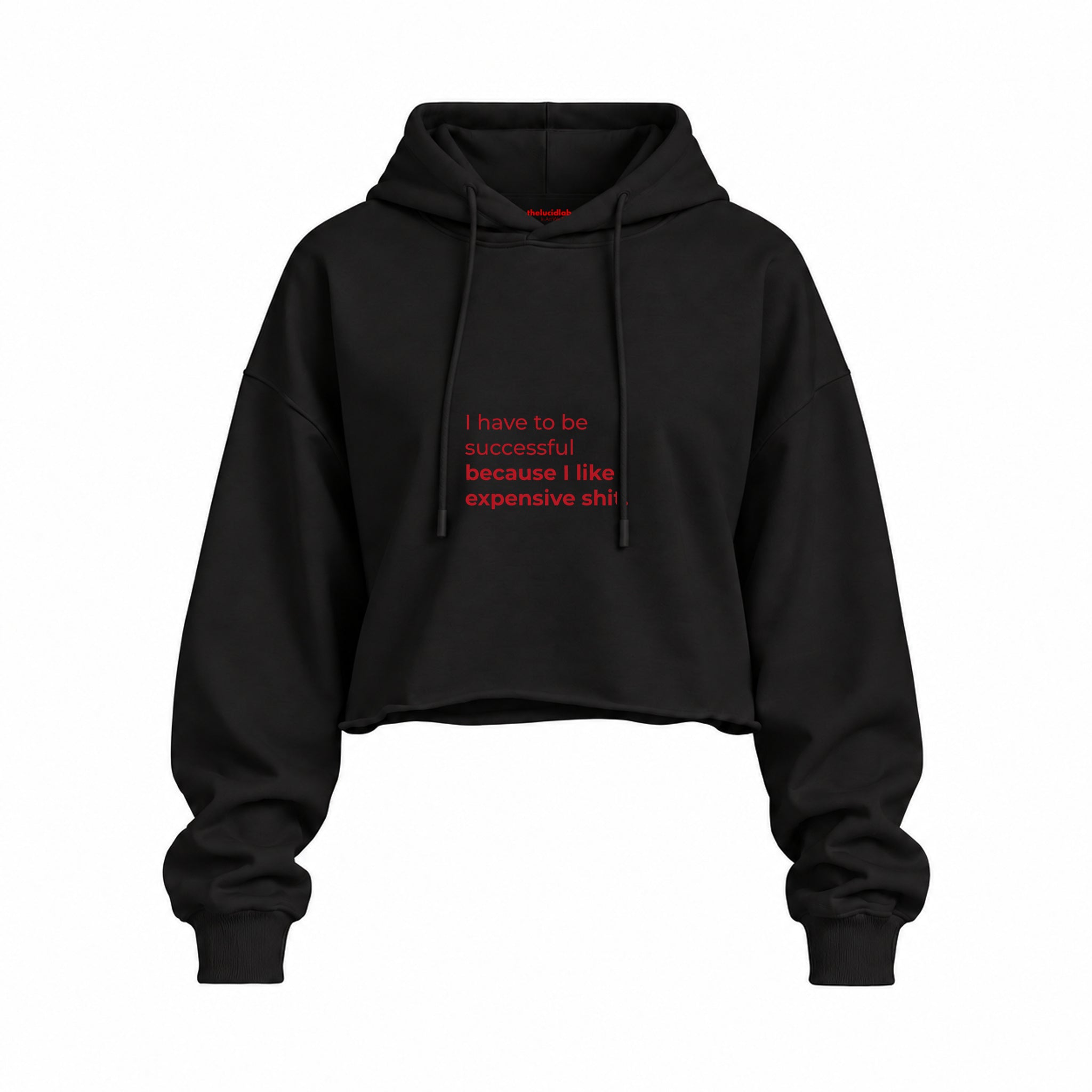I Like Expensive Shit Oversize Crop Hoodie — Siyah — Ön baskı