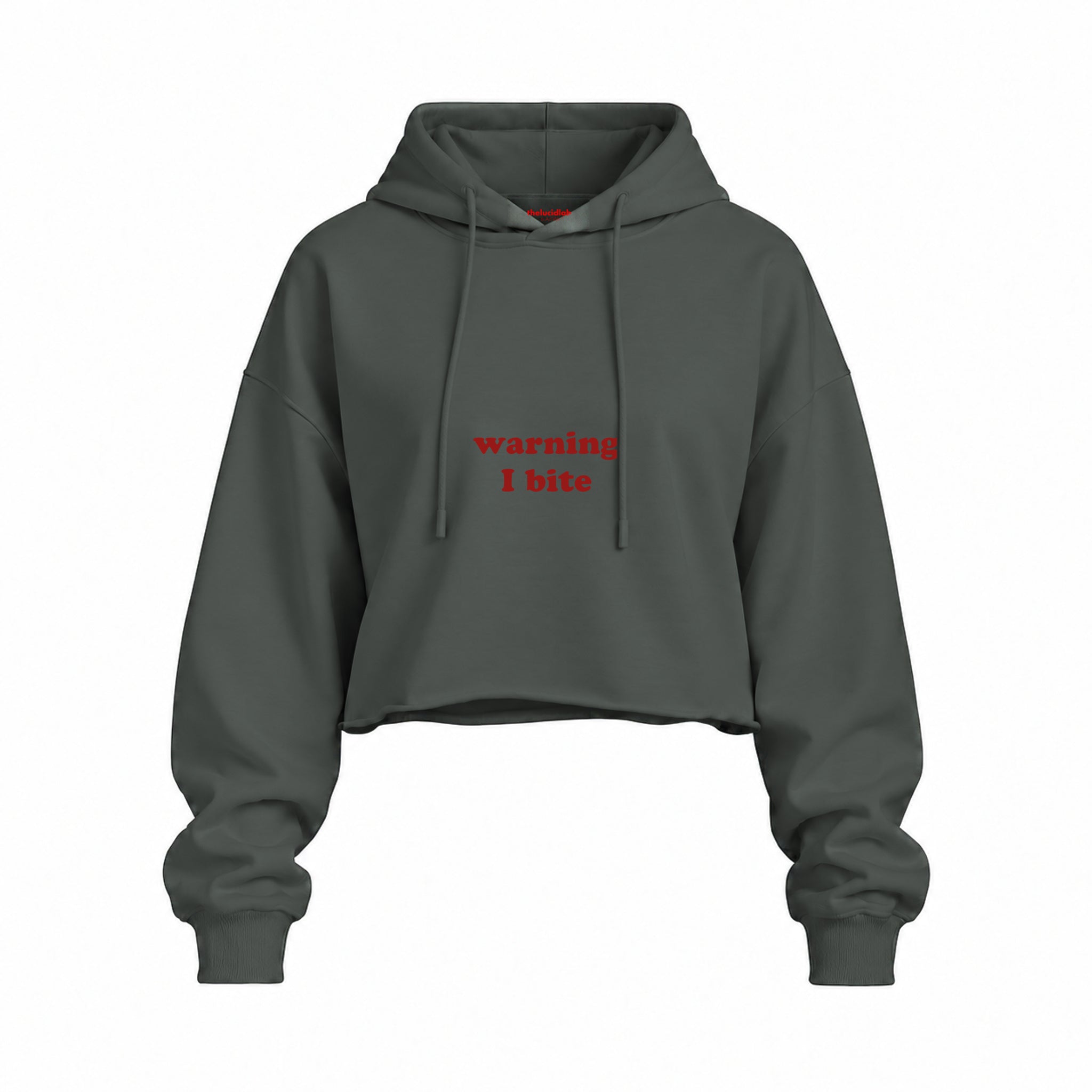 Warning I Bite Oversize Crop Hoodie — Antrasit — Ön baskı